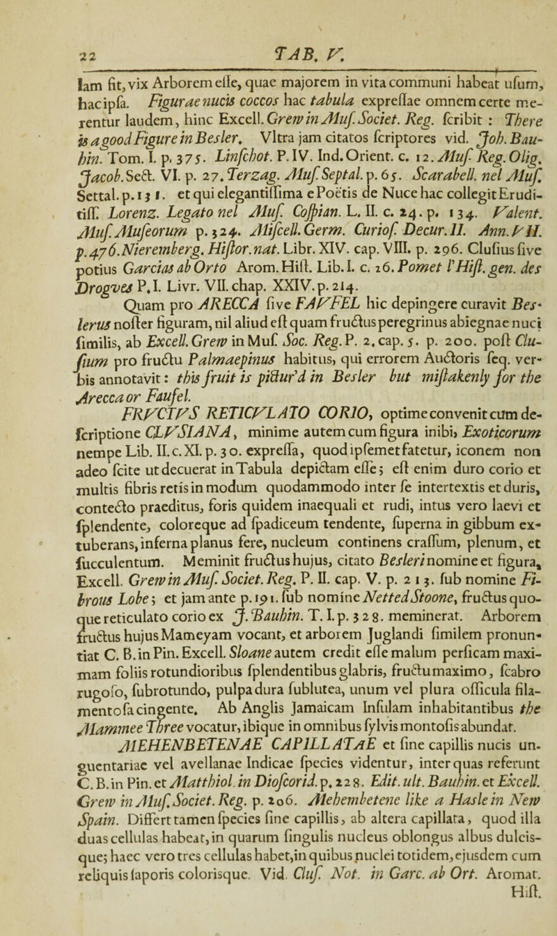 — -—■— -—<-- lam fit, vix Arborem eile, quae majorem in vita communi habeat ufum, hacipfa. Figurae nucis coccos hac tabula expreflae omnem certe me¬ rentur laudem, hinc Excell.Grerv in Aluf. Societ. Reg. fcribit : There isagoodFigureinBesler, Vitra jam citatos fcriptores vid. Job.Bau- hin. Tom. I. p. 375. Linfchot. F. IV. Ind.Orient. c. 12. Aluf Reg. Olig. ffacob. Seft. VI. p. 27. Terzag. Aluf.Septal. p. 65. ScarabelJ. nel Aluf, Settal.p.i? 1. et qui elegantillima e Poetis de Nuce hac colIegitErudi- tiff Lorenz. Legato nel Aluf Cojpian. L. II. c. 24. p. 134. Valent, Aluf Alufeorum p. 324. AltfceU.Germ. Curio f. Decur. 11. Ann.FM. p.^y6.Nieremberg. Hiflor.nat. Libr. XIV. cap. VIII. p. 296. Clufius five potius Garcias ab Orto Arom. Hifh Lib. I. c. 26. P ornet PHif. gen. des Drogvej P.I. Livr. VII. chap. XXIV.p. 2I4. Quam pro ARECCA five FAVFEL hic depingere curavit Bes* lerus nofter figuram, nil aliud e fi: quam frucfiusperegrinus abiegnae nuci fimilis, ab Excell. Grerv in Muf Soc. Reg. P. 2, cap. 5. p. 200. pofi Clu- fium pro fru&u Palmaepinus habitus, qui errorem Au&oris feq. ver¬ bis annotavit: this fruit is pittufd in Besler but miftakenly for tbe Areccaor Faufel. FRVCTVS RET1CVLATO CORIO, optime convenit cum de- fcriptione CLLrSlANA> minime autem cum figura inibij Exoticorum nempe Lib. II.c.XI.p. 30. expreffa, quod lpfemetfatetur, iconem non adeo fcite ut decuerat inTabula depictam effe ; efi enim duro corio et multis fibris retis in modum quodammodo inter fe intertextis et duris, conte£to praeditus, foris quidem inaequali et rudi, intus vero laevi et fplendente, coloreque ad fpadiceum tendente, fuperna in gibbum ex¬ tuberans, inferna planus fere, nucleum continens craffum, plenum, et fucculentum. Meminit fru&us hujus, citato Besleri nomine et figura* Excell. Grerv in Aluf Societ.Reg. P. II. cap. V. p. 213. fub nomine Fi- hrous Lobe i et jam ante p.191. fub nomine NettedStooney fruftus quo¬ que reticulato corio ex J. Bauhin. T. I. p. 3 2 8. meminerat. Arborem fru&us hujus Mameyam vocant, et arborem Juglandi fimilem pronun¬ tiat C. B.inPin. Excell. Sloane autem credit elle malum perficam maxi¬ mam foliis rotundioribus fplendentibus glabris, fru&umaximo, fcabro rugofo, fubrotundo, pulpa dura fublutea, unum vel plura oflicula fila¬ mento facingente* Ab Anglis Jamaicam Infulam inhabitantibus tbe /flammee Tbree vocatur, ibique in omnibus fylvis montofis abundat. A1EHENBETENAE CAPILLATaE et fine capillis nucis un¬ guentariae vel avellanae Indicae fpecies videntur, inter quas referunt C. B. in Pin. et Alattbiol. in Diofcorid. p* 2 2 8. Edit. ult. Baubin. et Excell. Grew in Aluf, Societ. Reg. p. 206. Alehembetene lite a Haslein Nerv Spain. Differt tamen fpecies fine capillis, ab altera capillata, quod illa duas cellulas habeat, in quarum fingulis nucleus oblongus albus dulcis¬ que; haec vero tres cellulas habet,in quibus nuclei totidem, ejusdem cum reliquis (aporis colorisque. Vid, Cluf Not. in Garc. ab Ort. Aromat. Hift.
