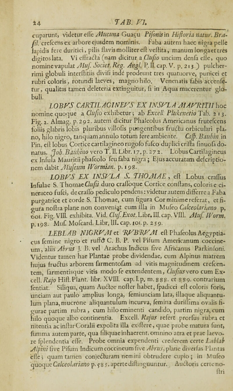 1'AB. AL 24 cuparunt, videtur effe Guacu Piforium Hifloria natur. Bra- fll. crefcensex arbore ejusdem nominis. Faba autem haec nigra pelle lapidis fere duritiei, pilis flavis molliter efl veffita, manum longa et tres digitos lata. Vi effrabla (nam dicitur a Clufio unciam denfa elle, quo nomine vapulat AluJ. Societ. Reg. Angi P. II. cap. V. p. 213pulcher¬ rimi globuli interflitiis divifi inde prodeunt tres quatuorve, punicei et rubri coloris, rotundi laeves, magno hilo. Venenatis fabis accenfe- tur, qualitas tamen deleteria extinguitur, fi in Aqua macerentur glo¬ buli. LOBAS CARTILAGINEAS EX IN SAL A A1AARITII hoc nomine quoque a Clufio exhibetur; ab Excell. Pliihenetio Tab. 213. Fig. 2. Almag. p. 292. autem dicitur Phafeolus Americanus frutefcens foliis glabris lobis pluribus villofis pungentibus frubfu orbiculari pla¬ no, hilo nigro, tanquamannulo totum fere ambiente. Ca/p. Baubin in Pin. efl lobus Cortice cartilagineo rugofofufco duplici erilia finuofado- natus. Joh.Bdubino vero T. II. Libr. i7.p. 272. Lobus Cartilagineus ex Infula Mauritii phafeolo feufaba nigra; Ejus accuratam deferiptio- nem dabit Alufeum IVormidn. p. 198. LOBAS EX IN SAL A S. TROJI A E , efl Lobus cralTus Infulae S. Thomae £/«/*/ duro cralloque Cortice conllans, coloris e ci¬ neraceo fufei, decraflo pediculo pendens: videtur autem differre a Faba purgatrice et corde S. Thomae, cum figura Cor minime referat, etfi- gura noflra plane non conveniat cum illa in Mufeo Calceolariano p. 601. Fig. VIII. exhibita. Vid. Cluf.Exot.lSbrAW. cap. VIII. Aluf. IVorm. p. 198. Muf. Mofcard. Libr, III. cap. 101. p. 259. LEBLAB NIGRAAI et TJABRAAI ell Phafeolus Aegyptia¬ cus femine nigro et ruffd» C. B. P. vel Pifum Americanum coccine¬ um , aliis Abrus ]. B. vel Arachus Indicus five Africanus Parkinfoni. Videntur tamen hae Plantae probe dividendae, cum Alpinus matrem hujus frubfus arborem farmentofam ad vitis magnitudinem crefcen- tem, farmentisque vitis modo fe extendentem, Clufiusvero cum Ex¬ cell. Rajo Hili. Piant, libr. XVIII. cap. I.p, m. 8 8 8. et 8 89- contrarium fentiat. Siliqua, quam Aublor nofler habet, fpadicei efl coloris foris, unciam aut paulo amplius longa, femiunciam lata, iliaque aliquantu- lum plana, mucrone aliquantulum incurva, femina durifOma ovaiis fi¬ gurae partim rubra, cum hilo eminenti candido, partim nigra, cum hilo quoque albo continentia. Excell. Rajus refert prorfus rubra et nitentia acinflarCoralii expolita illa exiflere, quae probe matura funt, fumma autem parte, qua liliquae inhaerent, omnino atra et prae laevo- re fplendentia effe. Probe omnia expendenti crederem certe Labldb Alpini five Pifum Indicum coccineum five Abrus, plane diverfas Plantas effe; quam tamen conjebluram nemini obtrudere cupio; in Mufeo