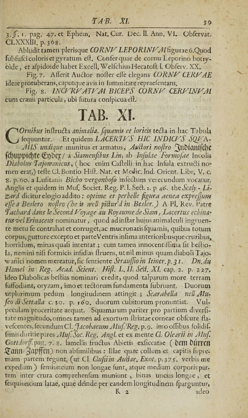 30 E A B. XI. 3.jf, i.pag. 47. et Ephem. Nat. Cur. Dcc. II. Ann. VJ. Obfervat. CLXXXIIi. p.368. Abludit tamen plerisque CORNI^ LEPORINNAl figurae 6.Quod fubfufci coloris et gyratum elt. Confer quae de cornu Leporino botry- oide , et afpidoide habet Excell. WelfchiusHecatoft.I. Obferv. XX. Fig. 7. Aflerit Audor nofter efle elegans CORNN CEREAE ideae protuberans, caputque avis in fummitaterepraefentans. Fig. s. lNCNRNATFAl BICEPS CORNN CERFINVM cum cranii particula, ubi futura confpicuaefl. TAB. XI COrnibus inflruda animalia, fquamis et loricis teda in hac Tabula fequuntur. Et quidem L ACEREFS HIC INDICNS SQNA- AilS undique munitus et armatus, Auilori noflro 3iKt>iCintfd)C fd)upptcfete <gt)bef/ a Siamenflbus hin, ab Infulae Formofae Incolis Diabolus Eajorvanicus, (hoc enim Caflelli in hac Infula extrudi no¬ men erat,) tefte Cl. Bontio Hifl. Nat. et Medie. Ind. Orient. Libr. V. c. 8. p. 60. a Lufitanis Bicbo vergonbofo infedum verecundum vocatur. Anglis et quidem in Muf Societ. Reg. P. I. Sed. 2. p 46. theScaly - Li- zard dicitur elogio addito: optime et perbelle figura aenea exprefum efle a Beslero nojlrc (he is mll pitturd in Besler.) A Pl. Rev. Patre Eachard dans le Second Noyage au Royaume de Siam, Lacertus echina¬ tus vel Erinaceus nominatur, quod adindar huius animalculi ingruen¬ te metu fe contrahat et corruget, ac mucronatis fquamis, quibus totum corpus, gutture excepto et parteVentris infima anterioribusque cruribus, horridum, minasquafi intentat ; cum tamen lnnocentiifima fit beflio- la, nemini nifi formicis infidias flruens, utnil minus quam diaboli Tajo- wanici nomen mereatur, fic fentiente Straujjio in Itiner.p, 31. Dn. du Hamel in Reg. Ac ad. Scient. Hifl. L. 11. Sed. XI. cap. 2. p. 227. ideo Diabolicas beftias nominari credit, quod talparum more terram fuffodiant, oryzam, imo et tedorum fundamenta fubruant. Duorum utplurimum pedum longitudinem attingit 5 Scarabella nell Alu- feo di Settalla c. 30. p. 160. duorum cubitorum pronuntiat. VuL peculam proceritate aequat. Squamatum pariter pro partium diverfi- tate magnitudo,omnes tamen ad exortum flriataecorneae obfcure fla- vefcentes, fecundum Cl. Jacobaeum Aluf.Reg. p.9. imoofhbus folidif- fimis duritie pares AlufSoc. Reg, Angi, et ex mente Cl. Olearii in Alufl Gottdorfl. pag. 7. g. lamellis frudus Abietis exficcatae ( tUitTClt non abfimilibus: Illae quare collum et capitis fupre- mam partem tegunt, (ut Cl. Clufiiin Autiar. Exot. p. 375. verbis me expediam) femiunciam non longae funt, atque mediam corporis par¬ tem inter crura comprehenfam muniunt , binas uncias longae , et fesquiuncram latae, quae deinde per eandem longitudinem fparguntur, R 2 adeo