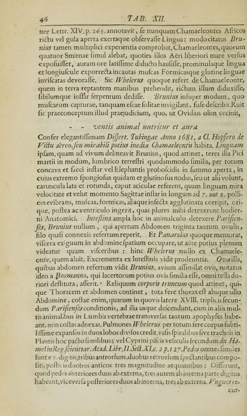 nee Lettr. XIV. p. 265-annotavit, fe nunquam Chamaeleontes Africos ridlu vel gula aperta exertacjue obfervade Lingua: modo citatus Bru- nilis tamen multiplici experientia comprobat, Chamaeleontes,quorum quatuor Smirnae fimul alebat, quoties illos Aeri liberiori mare verfus expofuiffct, auram ore latidime didu&o haulide, prominulaque lingua et longiufcule exporre&aincautas mufcas Formicasque glutinelinguae invifcatas devorade. Sic Whelerus quoque refert de Chamaeleonte, quem in terra reptantem manibus prehendit, ridtum illum diduxide, fibilumque indfir ferpentum dedifle. Brunius infuper modum, quo mulcarum capturae, tanquamefcaefolitaeinvigilant, fufedefcribit.Ruit fic praeconceptum illud praejudicium, quo, ut Ovidius olirn cecinit, ventis animal nutritur et aura Confer elegantiflimam Dijjert. Tubingae Anno 1681. a Cl. Hopfero de Viidu aereo,/eu mirabili potius inedia Chamaeleontis habita. Linguam ipfam.quam ad'vivum delineavit Brunius, quod attinet, teres illa Pici martii in modum, lumbrico terredri quodammodo fimilis, per totum concava et faeci indar vel Elephantis probofcidis in fummo aperta , in cujus extremo fpongiofus quidam et glutinofus nodus, feu ut alii volunt, caruncula lata et rotunda, caput aciculae referens, quam linguam mira velocitate etvelut momento Sagittae indar in longum ad 7. aut 8. polli¬ ces evibrans, mufcas, formicas, aliaqueinfedta agglutinata corripit, ori¬ que, poffea acventriculo ingerit, quas plures inibi detexerunt hodier¬ ni Anatomici. Inteflina ampla hoc in animalculo detexere Parifien- fes, Brunius nullum, qui apertum Abdomen triginta tantum ovulis, filo quali connexis refertum reperit. Et Panarolus quoque memorar, vifcera exiguum in abdomine fpatium occupare, ut aere potius plenum videatur quam vifceribus : hinc Whelerus nullo ex Chamaele¬ onte, quem aluit, Excrementa exlntedinis vidit prodeuntia. Ovilla, quibus abdomen refertum vidit Brunius, avium affimilat ovis, notatus ideo a flosmanno, qui lacertorum potius ovis fimiliaede, omni tcfladu¬ riori delE tuta, aderit. * Reliquum corporis truncum quod attinet, qui¬ que Thoracem et abdomen continet, tota fere thorax ed absque ullo Abdomine, codae enim, quarum in quovis latere XVIII. triplicis fecun¬ dum Parifienfesconditionis, ad ilia usque delcendunt, cum in aliis mul- lisanimalibus in Lumbis vertebrae transverlas tantum apophyfes habe¬ ant, non collas adnexas. Pulmones IVhelerus per totum fere corpus fubti- liffime expanfos in duos lobos divifos credit,valis fpiralibus live tracheis in Plantis hoc pacdolimilibus; vel Cyprini pifcis veliculis fecundum du Ha- melinReg.fcientiar.Acad. Libr.II.Seft.XI.c. 2 pj 27.Pedes omnes fimi 1 es funte 5. dig cis,tribusantrorfum,duobus retrorfum fpedlantibuscompo- liti, podic is duobus anticos tres magnitudine aequantibus : Differunt, quod pedes an teriores duos ab externa, tres autem ab interna parte digitos habeant,viceverla poderiores duos ab interna, tres ab externa. Pingues re-. cur-