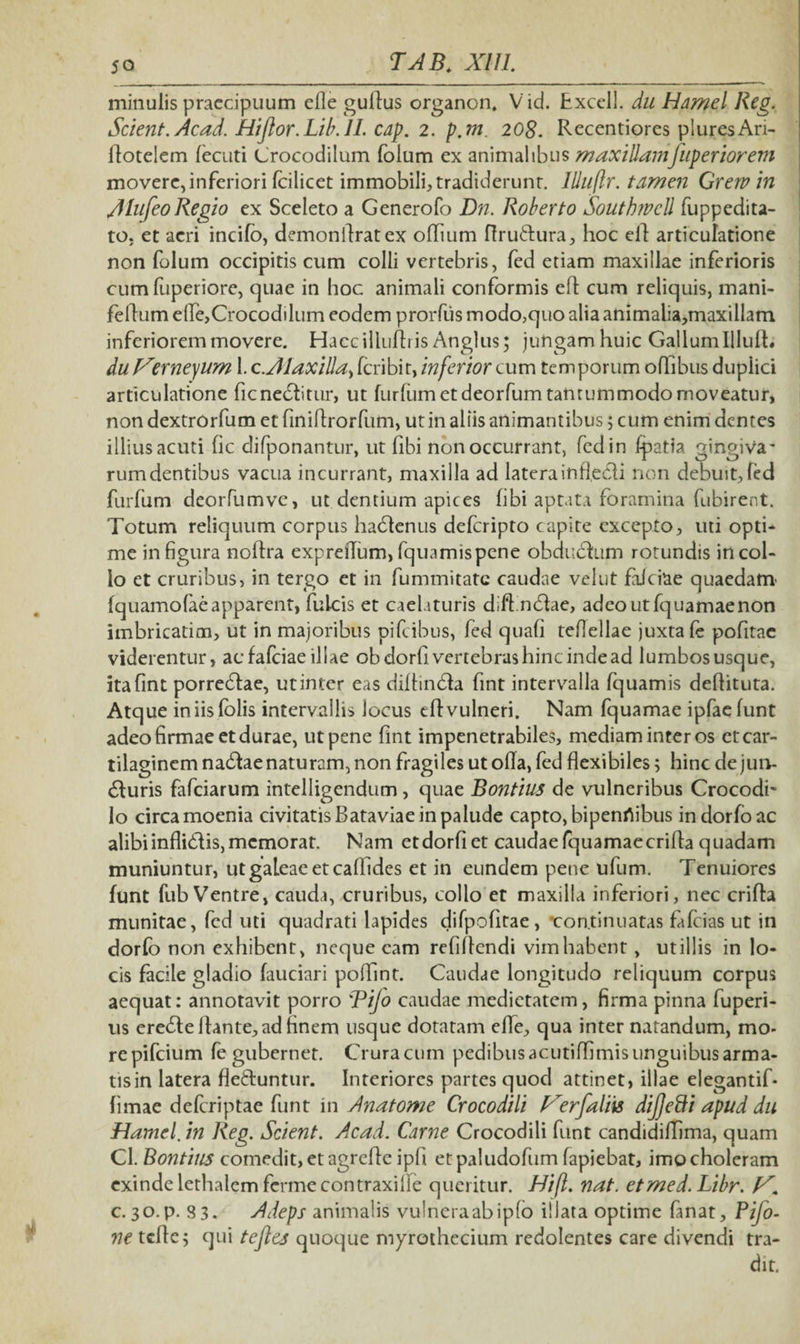 minulis praecipuum efle gullus organon, Vid. Excell. du Hamel Reg. Scient. Acad. Hiftor.Lib.il. cag. 2. p.m. 208. Recentiores pluresAri- jflotelem lecuti Crocodilum folum ex animalibus maxillamfuperioreni movere,inferiori fcilicet immobili, tradiderunt. llluflr. tamen Grervin AlufeoRegio ex Sceleto a Generofo Dn. Roberto Southwcll fuppedita- to. et acri incifb, demonilratex offium ftru&ura, hoc ell articulatione non folum occipitis cum colli vertebris, fed etiam maxillae inferioris cum fuperiore, quae in hoc animali conformis efl cum reliquis, mani- feftumefle,Crocodilum eodem prorfiis modo,quo alia animalia,maxillam inferiorem movere. Haec illufh is Anglus; jungam huic Gallum Illufh duHerneyum \.c.AlaxillaScribh>inferiorcum temporum oflibus duplici articulatione ficnedlitur, ut furfiim et deorfum tantummodo moveatur, non dextrorfum et finifhorfum, ut in aliis animantibus; cum enim dentes illius acuti fic difponantur, ut libi non occurrant, fed in fpatia gingiva* rumdentibus vacua incurrant, maxilla ad laterainflecti non debuit, fed furfum deorfumve, ut dentium apices libi aptata foramina fubirent. Totum reliquum corpus hacStenus defcripto capite excepto, uti opti¬ me in figura noltra expreflum, fquamispene obduclum rotundis in col¬ lo et cruribus, in tergo et in fummitate caudae velut faJciae quaedam' fquamofaeapparent, fulcis et caelaturis dill.ndlae, adeoutfquamaenon imbricatim, ut in majoribus pile ibus, fed quafi teflellae juxta fe pofitac viderentur, aefafeiae illae obdorfivertcbrashincindead lumbos usque, itafint porrectae, ut inter eas diflmdla fint intervalla fquamis deflituta. Atque in iis (olis intervallis locus eftvulneri. Nam fquamae ipfaefunt adeo firmae et durae, ut pene fint impenetrabiles, mediam inter os et car¬ tilaginem nadlae naturam, non fragiles ut olla, fed flexibiles; hinc de jun¬ cturis fafeiarum intelligendum, quae Bontius de vulneribus Crocodi¬ lo circa moenia civitatis Bataviae in palude capto, bipenrtibus indorfoac alibi inflidlis, memorar. Nam etdorfiet caudae fquamae erilia quadam muniuntur, ut galeae et callides et in eundem pene ufum. Tenuiores funt fub Ventre, cauda, cruribus, collo et maxilla inferiori, nec crifla munitae, fed uti quadrati lapides difpofitae, continuatas falcias ut in dorlo non exhibent, neque eam refiflendi vim habent, ut illis in lo¬ cis facile gladio fauciari poflint. Caudae longitudo reliquum corpus aequat: annotavit porro 'Tijo caudae medietatem, firma pinna fuperi- us ereile liante, ad finem usque dotatam efle, qua inter natandum, mo¬ re pifeium fe gubernet. Crura cum pedibus acutiffimis unguibus arma¬ tis in latera fle&untur. Interiores partes quod attinet, illae elegantif- limae delcriptae funt in Anatome Crocodili f^erftaliis dijjebfi apud du Hamel. in Reg. Scient. Acad. Carne Crocodili funt candidiffima, quam Cl. Bontius comedit, et agrelle ipft etpaludofum lapiebat, imo choleram exinde lethalcm fermccontraxilfe queritur. Hifi. nat. etmed.Libr. c. 30.P. 83. Adeps animalis vulneraabipfo illata optime fanat, Pijo- ne tefle; qui tefles quoque myrothecium redolentes care divendi tra¬ dit.