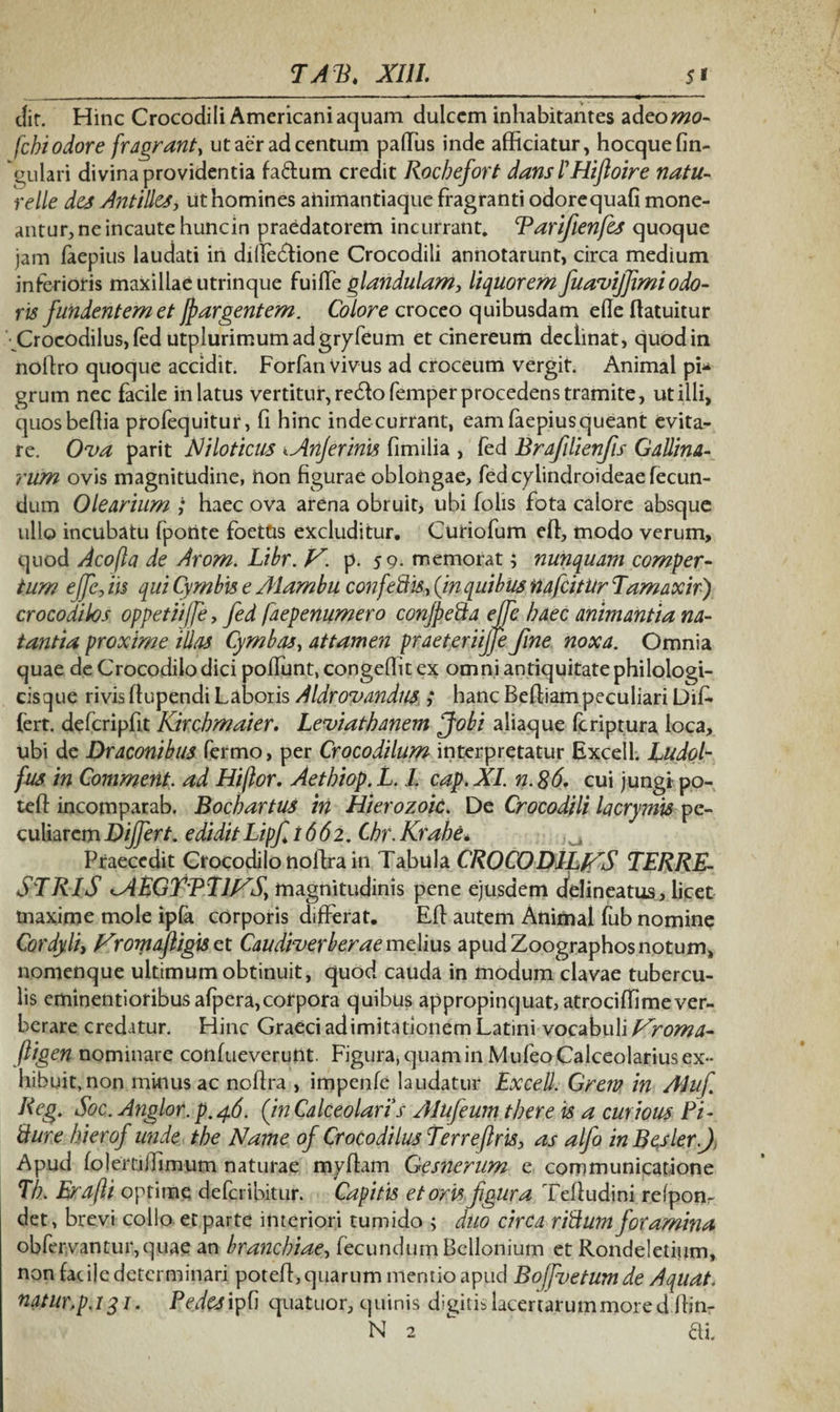 Jit. Hinc Crocodili Americani aquam dulcem inhabitantes adeomo- fchi odore fragrant, ut aer ad centum palTus inde afficiatur, hocque lin¬ gulari divina providentia fa&um credit Kochefort dans /’Hiftoire natu- relle des Antilles, ut homines aiiimantiaque fragranti odorequafi mone¬ antur, ne incaute huncin praedatorem incurrant, Tarifenfes quoque jam faepius laudati in difie&ione Crocodili annotarunt, circa medium inferioris maxillae utrinque fuille glandulam, liquorem fuavijfmiodo¬ ris fundentem et jpargentem. Colore croceo quibusdam efle ftatuitur Crocodilus, fed utplurimum adgryfeum et cinereum declinat, quod in noflro quoque accidit. Forfan Vivus ad croceum vergit. Animal pi* grum nec facile in latus vertitur, re6iofemper procedens tramite, ut illi, quosbeffia profequitur, li hinc inde currant, eam faepius queant evita¬ re. Ova parit Niloticus <Anjerinis fimilia , fed Brafilienfis Gallina- rum ovis magnitudine, non figurae oblongae, fed cylindroideae fecun¬ dum Olearium ; haec ova arena obruit, ubi folis fota calore absque ullo incubatu fponte foettis excluditur. Curiofum effi, modo verum, quod Acofla de Arom. Libr. V. p. 5 9- memorat; nunquam comper- tum effcfm qui Cymbis e Alambu confeStis-, (in quibus nafcitUr Tamaxir) crocodilos oppetii/fe, fed faepenumero conjpe&a effe haec animantia na¬ tantia proxime illas Cymbas, attamen praeter,iijfe fine noxa. Omnia quae de Crocodilo dici polfunt, congeffit ex omni antiquitate philologi- ciscjue rivis flupendi Laboris Aldrovandus ,* hanc Beltiampeculiari Dif¬ fert. defcripfit Kircbmaier. Leviatbanem ffobi aliaque fcriptura loca, ubi de Draconibus fermo, per Crocodilum interpretatur Excell. EudoT fus in Comment. ad Hi for. Aetbiop. L. I cap. XI. n. 86. cui jungi- po- tefl incomparab. Bocbartus iri Hierozoic. De Crocodili facrymis pe¬ culiarem Differt, ediditLipf 1662. Chr.Krabe* Praecedit Crocodilo noffia in Tabula CROCODILffS TERRE¬ STRIS 'AEGTETIJ^S) magnitudinis pene ejusdem delineatus, licet maxime mole ipfa corporis differat. Eli autem Animal fub nomine Cordyli, f^romaftigis et Caudiverberae melius apud Zoographos notum, nomenque ultimum obtinuit, quod cauda in modum clavae tubercu¬ lis eminentioribus afpera,corpora quibus appropinquat, atrociffimever¬ berare credatur. Hinc Graeci ad imitationem Latini vocabuli f^roma- fligen nominare confueverunt. Figura, quam in Mufeo Calceolarius ex¬ hibuit, non minus ac noftra , impenfe laudatur Excell. Grem in AJuf Reg. Soc. Anglor. p.46. (,in Calceolaris Alufeum tbere is a curious Pi- tture hierof unde tbe Name of Crocodilus Terre [Iris, as alfo inBesler.J: Apud folertiifimum naturae myflam Gesnerum e communicatione Tb. Erafti optime defcribitur. Capitis et oris figura Tefludini refponr det, brevi collo et parte interiori tumido ; duo circa ri&um foramina obfer.vantur,quae an branchiae, fecundumBellonium et Rondeletium, non fac ile determinari potefl, quarum mentio apud Boffvetumde Aquat. natur.p.131. Pedes ipfi quatuor, quinis digitis lacertarum more dffin- N 2 ai.