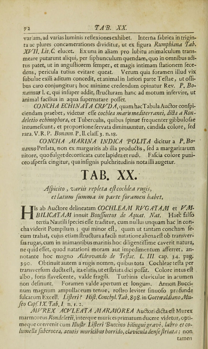 72 variam, ad varias luminis reflexiones exhibet. Interna fabrica in trigin¬ ta ac plures concamerationes dividitur, ut ex figura Rumphiana Tab. XN1I. Lit.C. elucet. Ex una in aliam pro lubitu animalculum trans¬ meare putarunt aliqui, per fiphunculumquendam,quo in omnibus adi¬ tus patet, ut in anguftiorem femper, et magis intimam dationem fece- dens, pericula tutius evitare queat. Verum quia foramen illud vix fubulae exili aditum concedit, et animal in latiori parte Teflae, utofli- bus caro conjungitur; hoc minime credendum opinatur Rev. P. Bo- nannus 1. c. qui infuper addit, ftrucfturam hanc ad motum infervire, ut animal facilius in aqua fupernatare pofTet. CONCHA ECHINATA CP/^2)/4,quamhacTabulaAu(ftorconfpi- ciendam praebet, videtur ede cochlea maris mediterranei, difta a Ro?i- deletio echinophora, et Tuberculis, quibus fpirrae frequenter gibbulofae intumcfcunt, et proportionefervatadiminuuntur, candida colore, fed rara. V. R. P. Bonatin. F. II. claif 3. n. 18. CONCHA AI A R IN A INDICA T OLIT A dicitur a P.Bo- nannoPerlata, non ex margaritis ab illa produdlis, fed a margaritarum nitore, quofulgetdecorticata cute lapidea et rudi. Fafcia colore puni- ceoafperfa cingitur, quainfignis pulchritudinis nota illi augetur. TAB. XX. Afficito , 'variis repleta eft cochlea rupis, et latum fumma in parte foramen habet. His ab Audlore delineatam COCHLEA Ai RNGATAA1 et BILICATAM innuit Boujfuetus de Acpuat. Nat. Haec falfo tertia Nautili fpecies ede traditur, cum nullus unquam hac in con¬ cha viderit Pompilum ; qui minor eft, quam ut tantam concham fe¬ cum trahat, cujus etiam ftrudlura a facili natatione aliena eft ob transver¬ tas rugas, cum in animantibus marinis hoc diligentiftime caverit natura, ne quid edet, quod natationi moram aut impedimentum afferret, an¬ notante hoc magno Aldrovando de Te [lac. L. III cap. 34. pag. 390. Obtinuit autem a rugis nomen, quibus tota Cochleae tefta per transverfum dudfaeft, ita elatis, ut et ftriata dici poftit. Colore intuseft albo, foris flavefcente, valde fragili. Turbinis claviculae in acumen non definunt. Foramen valde apertum et longum. Annon Bucci- num magnum ampullaceum tenue, roftro leviter finuofo profunde fulcatum Excel!. Lijleri ? Hijl. Conchyl. Tab. 898- in Gottwaldiano Alu- feo Cap PIX. Tab. I n. i. 2. A1NREX ACNLEATA MARMOREA Au&oridi&aeft Murex marmoreus Rondeletii, interque murices primatum ducere videtur, opti- meque convenit cum llluftr. Lifteri Buccino bilinguigravi, labro et co¬ lumella fubcrocea, acutis muricibus horrido, clavicula denfejlriat a; non tamen