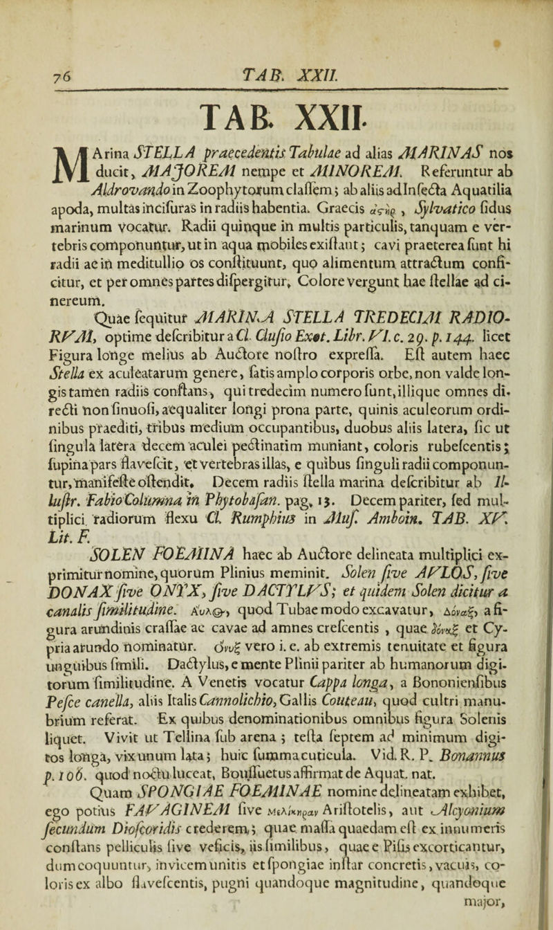 TAR XXII. MArina STELLA praecedentis Tabulae ad alias MARINAS nos ducit, A1AJOREM nempe et MINOREM, Referuntur ab AldrovandoitiZ.ooiphytoxumchlkmy ab aliis adlnfedfa Aquatilia apoda, multas incifuras in radiis habentia, Graecis , Sylvatico fidus marinum Vocatur. Radii quinque in multis particulis, tanquam e ver¬ tebris componuntur, ut in aqua mobiles exiflant; cavi praeterea funt hi radii aein meditullio os conftituunt, quo alimentum attradlum confi¬ citur, et per omnes partes difpergitur. Colore vergunt hae flellae ad ci¬ nereum. Quae (equitur MARINA STELLA TREDECJM RADIO- RL^Aly optime defcribitur aC/. Clufio Exet. Libr. T7. c. 2 g. p. 144. licet Figura longe melius ab Audfore noftro expreffa. Eli autem haec Stella ex aculeatarum genere, fatis amplo corporis orbe, non valde lon¬ gis tamen radiis conflans^ quitredecim numero funt,iliique omnes di. redii non finuofi,aequaliter longi prona parte, quinis aculeorum ordi¬ nibus praediti, tribus medium occupantibus, duobus aliis latera, fic ut fingula latera decem aculei pedlinatim muniant, coloris rubefcentis; fupinapars flavebat, et vertebras illas, e quibus finguli radii componun¬ tur, manifefte oftendit* Decem radiis llella marina defcribitur ab 7/- lujlr. Fabio Columna in Phytobafan. pag* 15. Decem pariter, (ed mul¬ tiplici. radiorum flexu CL Rumphius in Aluf Amboin, TAB. XN. Lit. F. SOLEN FOEMlNA haec ab Audtore delineata multiplici ex¬ primitur nomine, quorum Plinius meminit. Solen five Af^LOS, five DONAX five ONTX, five D ACTTLFS; et quidem Solen dicitur a canalis fimilitudine. quod Tubae modo excavatur, ao^ a fi¬ gura arundinis crafiae ac cavae ad amnes crefcentis , quae et Cy¬ pria arundo nominatur. dvu% vero i. e. ab extremis tenuitate et figura unguibus fimili. Dadfylus, e mente Plinii pariter ab humanorum digi¬ torum fimilitudine. A Venetrs vocatur Cappa longa, a Bononienfibus Pe/ce canella, abis ItalisCannolicbio, Gallis Couteau, quod cultri manu¬ brium referat. Ex quibus denominationibus omnibus figura Solenis liquet. Vivit ut Tellina fub arena ; tefta feptem ad minimum digi¬ tos longa, vix unum lata; huic fumma cuticula. Vid. R. P. Bonannus p.106. quod nodtu luceat, Boufluetus affirmat de Aquat. nat. Quam SPONGIAE FOEAllNAE nominedelineatam exhibet, ego potius FAVAGINEAI five Ariflotelis, aut 'Alcyonium fecundum Diofcoridis crederem,; quae mafla quaedam eft ex innumeris conflans pelliculis five veficis, iisfimilibus, quae e Pifis excorticantur, dum coquuntur, invicem unitis etfpongiae inflar concretis, vacuis, co¬ loris ex albo lEvefcentis, pugni quandoque magnitudine, quandoque p major,