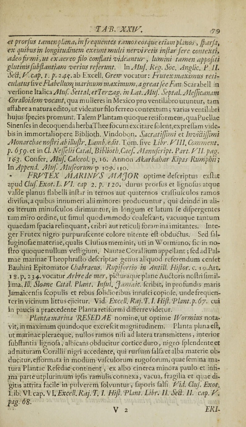 TAF. XXIK et prorfus tamen plana, infrequentes ramos eos que etiam planos, JparJa, ex quibus in longitudinem exeunt multi nervi rem inflar fere contexti, adeofirmi, ut ex aereo Jilo conflati videantur, lumini tamen appofitt glutinisfubflantiam verius referunt. In AluJ. Reg.Soc. Anglic. P.1L Se8.ix.cap. i. p. 24$. ab Excel!. Greiv vocatur: Frutex maximus reti¬ culatus fiveFlabellum marinum maximum, agreatfeeFan Scarabell in verlione Italica Aluf. Settal. etTerzag. in Lat. AluJ. Septal. Alejf canam CoraUoidem vocant, qua mulieres in Mexico pro ventilabro utuntur, tam affabre a natura edito, ut videatur filo ferreo contextum ^ varias ventilabri hujus fpecies promunt. Talem P lantam quoque retiformem,quaPuellae Sinenfes in decoquenda herbaThee focum excitare folent,expre(lam vide- bisin immortaliopere Biblioth. Vindobon. Sacratiffvmi et Invittiffimi Alonarchae no (Iri ab illuflr. Lamb. edit. Tom. five Libr. IX1111 Commenta p. (fg< et in Cl. Nefelii Catal. Biblioth.Caef Alanufcript. Part. f^ll. pag. 163. Confer. Aluf Calceol. p. 16. Annon Akarbabar Kipas Rumpbii; In Append. Aluji Alufeorum p 109. no. • FRFTEX AI ARI XVT A1AJ0R optime defcriptus exffat apud ClufExot.L. JX1. cap 2. p. 120. durus prorfus et lignofus atque valde planus flabelli inftar in ternos aut quaternos craffmiculos ramos divifus,aquibus innumeri alii minores producuntur, qui deinde in ali¬ os iterum minufculos dirimuntur, in longum et latum le dilpergentes tam miro ordine, ut fimul quodammodo coalelcant, vacuaque tantum quaedam (pacia relinquant, cribri aut reticuli foramina imitantes. Inte¬ ger Frutex nigro purpurafcente colore nitente eff obdudlus. Sed fal- iuginofaemateriae,qualis Cluliusmeminit, uti inWormiano, fic in no- flro quoquenullum veffigium. NautaeCoralliumappeilant 5 fedadPal- mae marinae Theophraffo defcriptae genus aliquod referendum cenlet Bauhini Epitomator Chabraeus. Rupi fortia in Antill. Eli flor. c. iy.Art. 1 3.p. 234.vocatur Arbrede mer, pi<ffuraqueplane Audtorisnoffrifirr.il- limaAU. Sloane Catal. Piant. Infui. ffamaic. fcribit, in profundis maris Jamaicenfis Icopulis et rebus folidioribus innafci copide, unde frequen¬ ter in vicinum littus ejicitur. Vid. Exeell. Raj.T.L Elifi. Flant.p. 67. cui in paucis a praecedente Planta retiformi differrevidetur. Piantamarina RESEDAE nomine,ut optime IVormius nota¬ vit, in maximam quandoque excrefcit magnitudinem. Planta plana eff, ut marinae pleraeque, nullos ramos nifi ad latera transmittens, interior fubffantia lignofa, albicans obducitur cortice duro, nigro Iplendenteec ad naturam Corallii nigri accedente, qui rurfttm falfaetalba materie ob¬ ducitur, efformata in modum vafculorum rugoforum, quae femina ma¬ tura Plantae Refedae continent, ex albo cinerea minora paulo et infi¬ ma parte utplurimum ipfis ramulis connexa, vacua, fragilia et quae di¬ gitis attrita facile in pulverem lolvuntur, laporis lalfi t^ld. CluJ. Exot. Lib. VI. cap. VI. Exeell. Raj. T, 1. Elifi. Flant. Libr. 11. Sett. 11. cap. K. pag. 68.