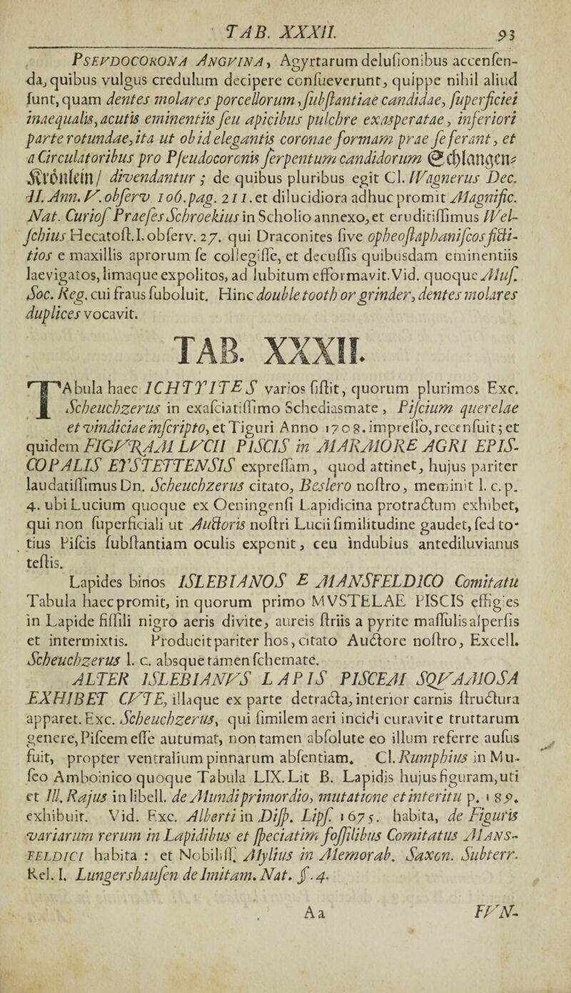 PSEUDOCOuON A Anguina , Agyrtarum delufionfbus accenfen- da, quibus vulgus credulum decipere confueverunt, quippe nihil aliud funt,quam dentes molares porcellorum,fubflantiae candidae, fuperfciei inaequalis, acutis eminentiis feu apicibus pulchre exasperatae, inferiori parte rotundae 7it a ut ob id elegantis coronae formam prae fe ferant, et a Circulatoribus pro P/eudocorcnis ferpentum candidorum @rf)lcin$CtL MtOttlettt/ divendantur ; de quibus pluribus egit C\. IVagnerus Dee. II. Ann. F. obferv iod.pag. 211. et dilucidiora adhuc promit Alagnific. Nat. CurioJ PraefcsSchroeluus in Scholio annexo,et eruditiflimus IVel- jchiusHecatofl.I.obferv. 27. qui Draconites five opheoflaphanifcosfdi- tios e maxillis aprorum fe colleglfic, et decuffis quibusdam eminentiis laevigatos, limaque expolitos, ad lubitum efformavit.Vid. quoque y/iw/T Soc. Reg. cui fraus fuboluit. Hinc doubletooth orgrinder, dentes molares duplices vocavit. TAB. XXXII. TAbuIa haec 1CHTTITES varios fiftit, quorum plurimos Exc. Scheuchzerus in exafciatillimo Schediasmate , Pifcium querelae et vindiciae inferipto, et Tiguri Anno 1709. imprello, reccnfuit 5 et quidem FIGFRAAI LFCIl PISCIS in AI AR AIO RE AGRI EPIS¬ COPALIS ETSTETTENSlS exprellam, quod attinet, hujus pariter laudatiffimus Dn. Scheuchzerus citato, B es Iero noftro, meminit 1. c. p. 4. ubi Lucium quoque ex Oeningenfi Lapidicina protrablum exhibet, qui non fuperficiali ut A udor is noftri Lucii fimilitudine gaudet, fed to¬ tius Pifcis fubffantiam oculis exponit, ceu indubius antediluvianus teflis. Lapides binos ISLEBIANOS E AIANSFELDICO Comitatu Tabula haecpromit, in quorum primo MVSTELAE PISCIS effigies in Lapide fiflili nigro aeris divite, aureis flriis a pyrite maflulisalperfis et intermixtis. Producit pariter hos, citato Aubiore nollro, Excel 1. Scheuchzerus 1. c. absque tamen fchemate. ALTER ISLEBIANFS LAPIS PISCEAI SQVAAIOSA EXHIBET CFTE, illa que exparte detradla, interior carnis drudfura apparet. Exc. Scheuchzerus, qui fimilemaeri incidi curavit e trurtarum genere,Pileemeffe autumat, non tamen abfolute eo illum referre aufus fuit, propter ventralium pinnarum abfentiam. CX.Rumphius in Mu¬ lco Amboinico quoque Tabula LIX.Lit B. Lapidis hujusfiguram,uti et Jll.Rajus inlibell. de Alundiprimordio, mutatione et interitu p. 1 $9. exhibuir. Vid. F.xc. Alberti in Dijp. Lipf 1675. habita, de Figuris variarum rerum in Lapidibus et Jpeciatimfofilibus Comitatus AIans- feldici habita : et Nobililf Alylius in Alemorab. Saxon. Subterr. Rei. I. Lungershaufen dehnitam.Nat. jf.4. Aa EFN-