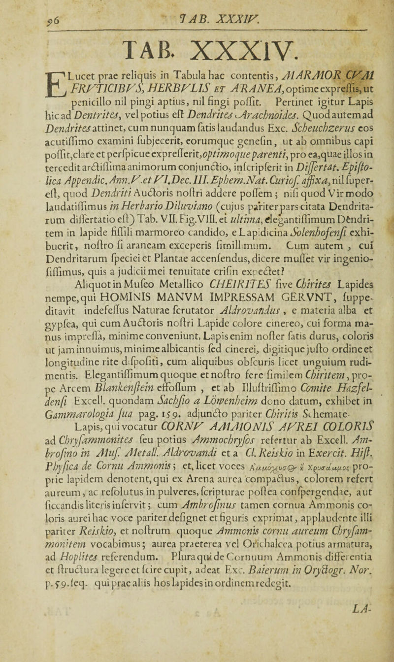 TAB. XXXiV. E Lucet prae reliquis in Tabula hac contentis, AlARAIOR CyAl FRNT1CIBNS, HERBFLlS et ARANEA,optimeexprefhs,ut penicillo nil pingi aptius, nil fingi poffit. Pertinet igitur Lapis hic ad DentritcSy vel potius eft Dendrites ^Arachnoides. Quod autem ad Dendrites attinet, cum nunquam fatis laudandus Exc. Scheuchzerus cos acutiffimo examini fubjecerit, eorumque genefin, ut ab omnibus capi pofTit,clare et perfpicue exprcflerit,optimoqueparenti, pro ea,quae illos in tercedit ardtiflima animorum conjunctio, infcripferit in Dijfertat. Epifto- lien Appendic. Ann.F.et FLDec. III. Ephem.Nat. Curiof. affixa, nil fuper- eft, quod Dendriti A udioris noflri addere poflem ; mfi quod Vir modo laudatilTimus in Herbario Diluviano (cujus pariter pars citata Dendrita- rum differtatio eff) Tab. VII. Fig.VIII. et ultima, degantiffimum Dfcndri- tem in lapide fiflili marmoreo candido, eLapidicina Solenbofenfl exhi¬ buerit, noftro fi araneam exceperis firnilFmum. Cum autem , cui Dendritarum fpecieiet Plantae accenfendus, dicere rnuflet vir ingenio- fifTimus, quis a judicii mei tenuitate crifln expediet? Aliquot in Mufeo Metallico CHEIR1TES five Cbirites Lapides nempe,qui HOMINIS MANVM IMPRESSAM GERVNT, fuppe- ditavit indeFeffus Naturae ferutator Aldrovandus , e materia alba et gypfea, qui cum Audloris noftri Lapide colore cinereo, cui forma ma¬ nus imprcfla, minime conveniunt, Lapis enim noffer fatis durus, coloris ut jaminnuimusjminimealbicantis fed cinerei, digitiquejufto ordineet longitudine rite dTpofiti, cum aliquibus obfcuris licet unguium rudi¬ mentis. Elegantiffimum quoque et noftro fere fimiiem Chiritem ,p>xo- pe Arcem Blankenjlein effoflum , et ab IlluftrilTimo Comite Hazfel- denfl Excel!, quondam Sacbfio a Loivenheim dono datum, exhibet in Gammarologia Jua pag. 159* adjundlo pariter Cbiritis Schemate- Lapis, qui vocatur CORNF AAIAlONlS AFREI COLORIS ad Chryfammonites feu potius Ammochryfos refertur ab Excel!. Am- brofino in Aluf. Ale tali. Aldrovandi et a Cl. Reiskio in E xercit. Hift. Pbyfica de Cornu Ammonis; et, licet voces H pro¬ prie lapidem denotent, qui ex Arena aurea compadlus, colorem refert aureum, ac refolutus in pulveres,feripturae poflea confpergendie, aut Occandis literis infervit; cum Ambrofmus tamen cornua Ammonis co¬ loris aurei hac voce pariter defignet et Oguris exprimat, applaudente illi pariter Reiskio, et ncftrum quoque Ammonis cornu aureum Cbryfam- monitem vocabimus; aurea praeterea vel Orichalcea potius armatura, ad Hoplites referendum. Plura qui de Cornuum Ammonis differentia et flrudlura legere et fcire cupit, adeat Exc. Baierum in Oryftogr. Nor. p. 99. (eq. qui prae aliis hos lapides in ordinem redegit. LA-