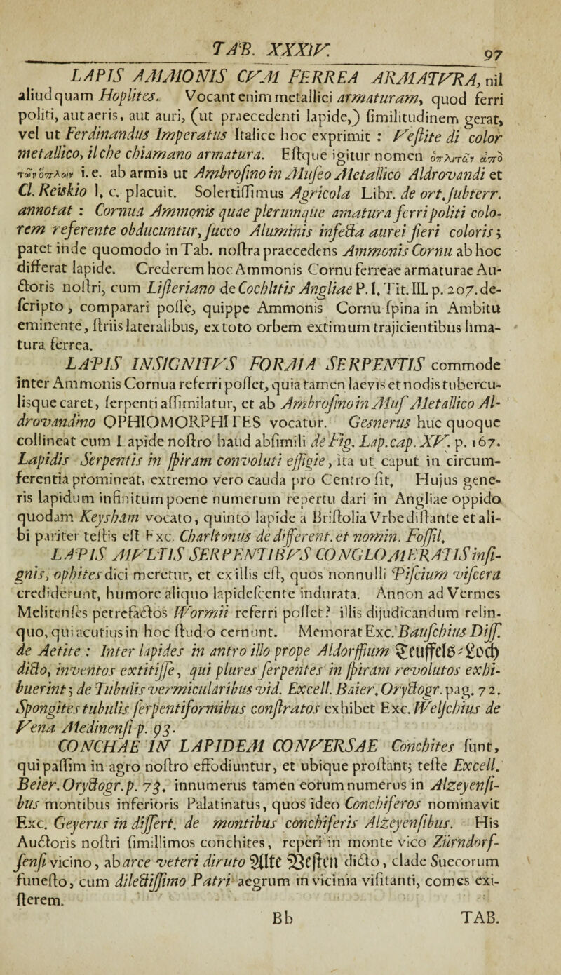 LAPIS AMA10NIS CFA1 FERREA ARAIATFRAfnM aliudquam Hoplites. Vocant enim metallici armaturamy quod ferri politi, aut aeris, aut auri, (ut praecedenti lapide,) fimilitudinem gerat, vel ut Ferdinandus Imperatus Italice hoc exprimit : Fefiite di color metallico> ilcbe chiamano armatura. Eftque igitur nomen oVa™ »Vo •r*iroW»y i. e. ab armis ut Ambrofinoin Aliifeo Aletallico Aldrovandi et Cl.Reiskio 1, c. placuit. SolcrtifTlmus Agricola Libr. de ortjubterr. annotat : Cornua Ammonis quae plerumque amatura ferri politi colo¬ rem referente obducuntur^ fucco Aluminis infeda aurei fieri coloris; patet inde quomodo inTab. noftra praecedens Ammonis Cornu ab hoc differat lapide. Crederem hoc Ammonis Cornu ferreae armaturae Au¬ roris nolfri, cum Lifteriano de Cochlitis Angliae P. I. Tit. IIL p. 207. de- feripto, comparari polle, quippe Ammonis Cornu fpina in Ambitu eminente. Uriis lateralibus, extoto orbem extimum trajicientibus lima¬ tura ferrea. LATIS INS1GNITFS FORA1A SERPENTIS commode inter Ammonis Cornua referri pollet, quia tamen laevis et nodis tubercu¬ lisque caret, ferpentiaffimilatur, et ab Ambrofinoin Aluf Aletallico AT drovandino OPHIOMORPHIIES vocatur. Gesnerns huc quoque collineat cum l apide noflro haud abfimili diFig. Lap.cap.XF. p. 167. Lapidis Serpentis in fpiram convoluti effigie, ita ut caput in circum¬ ferentia promineat, extremo vero cauda pro Centro lit. Hujus gene¬ ris lapidum infinitumpoene numerum repertu dari in Angliae oppido quodam Keyskdm vocato, quinto lapide a BrifloliaVrbc di flante et ali¬ bi pariter telfis eff Fxc. Charltonus de different, et nomin. Fojfil. LATIS A1FLTIS SERPENTlBFS CO NGLO Ai ERATIS infi¬ gitis, opbitesdici meretur, et exiliis efl, quos nonnulli Tifcium vifcera crediderunt, humore aliquo lapiclefcente indurata. Annon ad Vermes Melitclifes petrefaclos IVormii referri pollet? illis dijudicandum relin¬ quo, qui acutius in hoc fkid o’ cernunt. Memorat ExclBauficbius Dijf de Aetite : Inter lapides in antro illo prope Aldorffum 5cilffcl$'£0u) dido, inventos extitiffe, qui plures ferpentes in fpiram revolutos exhi¬ buerint ; de Tubulis vermicularibus vid. Excel!. Baier. Orydogr. pag. 7 2. Spongites tubulis ferpentiformibus conff ratos exhibet Exc.lVelJcbius de Vena Aiedinenfi p. 93. CONCHAE IN LAPIDEAI CONFERS A E Conchites funt, quipaffim in agro noflro effodiuntur, et ubique proflant; tefle Excell. Beier. Orydogr.p. 73. innumerus tamen eorum numerus in Alzeyenfl- te-montibus inferioris Palatinatus, quos ideo Concbiferos nominavit Exc. Geyerus in differt. de montibus concbiferis Alzeyenfibus. His Audloris noffri (imillimos conchites, reperi in monte vico Zurndorf- fenft vicino, ab^rcc veteri diruto 5((tC 33cf!ctl didlo, clade Suecorum funeflo, cum diledijfimo Patri aegrum in vicinia vifitanti, comes exi- flerem. Bb TAB.