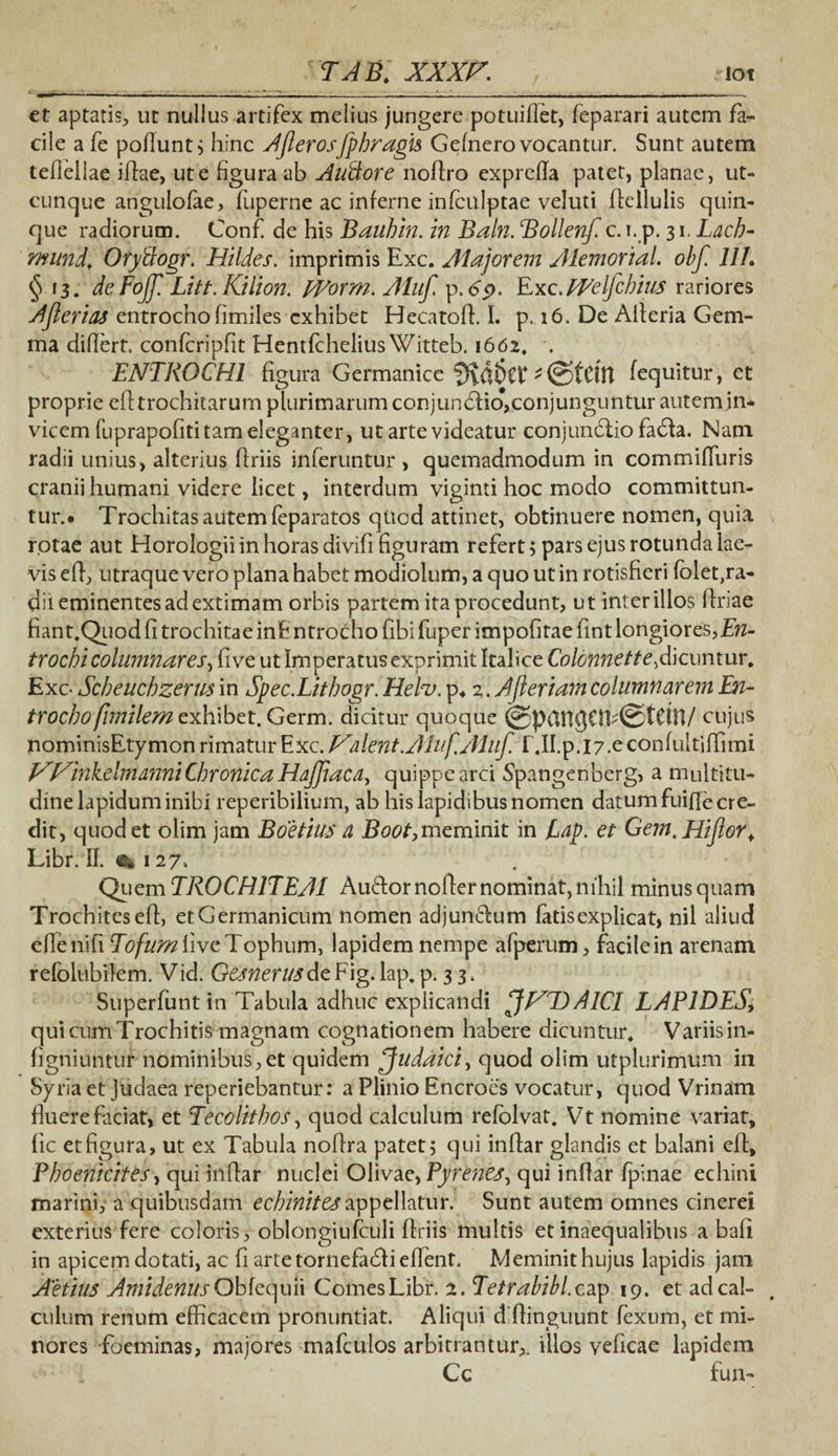 et aptatis, ut nullus artifex melius jungere potuifiet, feparari autem fa¬ cile a fe pofiunt; hinc Ajleros/phragis Gefnero vocantur. Sunt autem tellellae iflae, ut e figura ab Auftore noflro exprefla patet, planae, ut¬ cunque angulofae, fuperne ac inferne infculptae veluti ftellulis quin¬ que radiorum. Conf de his Bauhin. in Baln. Bollenf c. i. p. 31. Lacb- mund. Oryilogr. Hildes. imprimis Exc. Alajorem Alemorial. obf. 111. §13. deFoJf. Litt.Kilion. EVorm. Ahf p.6$>. Exc. EEelfcbius rariores Aflerias entrochofimiles exhibet Hecatofi. I. p. 16. De Aileria Gem¬ ma differt, confcripfit Hentfchelius Witteb. 1662. . ENTROCH1 figura Germanice '©tCIH fequitur, et proprie efitrochitarum plurimarum conjundlio,conjunguntur autem in¬ vicem fuprapofiti tam eleganter, ut arte videatur conjundlio fadla. Nam radii unius, alterius flriis inferuntur , quemadmodum in commiffuris cranii humani videre licet, interdum viginti hoc modo committun¬ tur.* Trochitas autem feparatos quod attinet, obtinuere nomen, quia rotae aut Horologii in horas di vifi figuram refert; pars ejus rotunda lae¬ vis efi, utraque vero plana habet modiolum, a quo ut in rotisfieri folet,ra- dii eminentes ad extimam orbis partem ita procedunt, ut interillos firiae fiant.Quod fi trochitae inb ntrocho fibi fuper impofitae fint longiores, En- trochi columnares, five ut Imperatus exprimit Italice Colonnette, dicuntur. Exc- Scheuchzems in Spec.Lithogr. Helu. p* 2. Afleriam columnarem En- trocbo fimilem exhibet. Germ. dicitur quoque @p&n$£lE©td!!/ cujus nominisEtymon rimatur Exc. JAdent.Aluf, Aluf. r4II.p.l7.econfultiffimi Winkehndnni Chronica Hafjiaca, quippe arci Spangenberg, a multitu¬ dine lapidum inibi reperibilium, ab his lapidibus nomen datum fuifle cre¬ dit, quod et olim jam Boetius a Boot, meminit in Lap. et Gem.Hifor. Libr. II. at 127. QuemTROCHITEAl Au&ornofiernominat,nihil minusquam Trochitesefi, et Germanicum nomen adjun&um latis explicat, nil aliud eflenifi Tofum five Tophum, lapidem nempe afperum, facile in arenam refolubilem. Vid. G&nerusdeFig.lap.p. 33. Superfiunt in Tabula adhuc explicandi jVTTAlCl LAPIDES\ qui cum Trochitis magnam cognationem habere dicuntur* Variis in- figniuntut nominibus,et quidem Judaici, quod olim utplurimum in Syria et Judaea reperiebantur: a Plinio Encrocs vocatur, quod Vrinam fluere faciat, et Tecolithos, quod calculum refolvat. Vt nomine variat, fic et figura, ut ex Tabula nofira patet; qui infiar glandis et balani efit, Phoenicites, qui infiar nuclei Olivae, Pyrenes, qui infiar fipinae echini marini, a quibusdam echinitesappellatur. Sunt autem omnes cinerei exterius fere coloris, oblongiufculi flriis multis et inaequalibus a bafi in apicem dotati, ac fi artetornefadliefient. Meminit hujus lapidis jam Aetius Amidenus Obkquh Comes Libr. 2. Tetrabibl. cap 19. et ad cal¬ culum renum efficacem pronuntiat. Aliqui d fiinguunt fiexum, et mi¬ nores foeminas, majores mafculos arbitrantur,, illos veficae lapidem Cc fun-