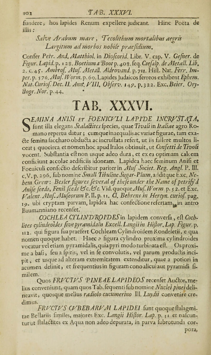 ,01 .TAU. xxxn. - - — • - ------ - - - _ I - fundere, hos lapides Renum expellere judicant. Hinc Poeta de illis; Salve Arabum mare, ‘Tecolithum mortalibus aegris Largitum ad morbos nobile praejidium. Confer Peir. And. Alatthiol. in Diofcorid. Libr. V. cap. V. Gejher. de Figur. Lapid. d, 128. Boetium d Boot p. 40 3. feq. Cdefdlp. de Ale tali Lib, 2. c.4f. Amlrofi. Aluf Aletall. Aldromnd. p.711. Hili. Nat. Ferr. lm- per. p. 5 76. Aluf. IVorm. p. 69. Lapides Judaicos ferreos exhibent Epbem. Ndt.Curiof. Dec. 11. Anrt, VIIL Obferv. 147, p*3 2 2, Exc.Beier. Ory- ftogr.Nor. p.44* TAB. XXXVf SFAUNA ANISI et FOENICVLI LAPIT)E INCRNSTATA, funt ilia elegans Stalaftites ipccks, quae Tivaliin Italiae agro Ro¬ mano repertu datur j cumqueinaequalis ac variae figurae, tam exa- 6te femina (accharoobdu&a acincruflata refert, ut iis failere multos li¬ ceat* quocirca etnomenhoc apudltalos obtinuit,ut ConfettideTivoli vocent. Subflantia ehnon usque adeo dura, et ex ea optimam cakem conficiunt accolae aedificiis idoneam. Lapidea haec feminum Anifi et Foeniculi confedtio deferibitur pariter in Aluf Societ. Reg. Angi. P. III. c.V. p. 296. fubnomine Small libulineSugdr-Padditque Exc. Ne- hem Greiv: Besler figures feveral of tbefe under tbeName of petrifyd Anife feedsy Fenil feeds &c.&c. Vid. quoquey//#/? fVorm p. 5 2. et Exc. Valent. Aluf. Alu[eorum P. II. p, 11. Cl, Bebrens in Hercyn. curiof. pag. ubi cryptam parvam, lapidea hac confedionerefertam^in antro Baumanniano recenfet.' COCHLEA CTLlNDBQIDESm lapidem converfa , efl Cocb- lites cylindrdides fivepyramidalis Excell.Ldngiiin Hiflor.Ldp. Figur. p. 112. qui figura fu a praefert Cochleam Cylindroidem Rondeletii, e qua nomen quoque habet. Haec? figura cylindro proxima cylindroides vocatur vel etiam pyramidalis, quia pyri modo turbinata efl. Os proxi¬ me a bafi, feu a fpiris, vel in fe convolutis, vel parum productis inci¬ pit , et usque ad alteram extremitatem extenditur, quae a potiori in acumen definit, et frequentius in figuram cono alicui aut pyramidi fi- milem. Quos FRVCTVS PINEAELAPIDEOS recenfet Aucftor, me¬ lius conveniunt, quam quos Tab. fequenti fub nomine Nuclei pineidcli- neavit, quosque melius radiolo cucumerino 111. Luydii convenire cre¬ dimus. FRNCTVS CVBEBARVAl LAPIDEI funt quoque flalagmi- tae Bellariis fimiles, majores Exc. Langii Hiftor. Lap. p. ? i et nalcun- turut flaladlites ex Aqua non adeo depurata, in parva fubrotunda cor¬ pora,