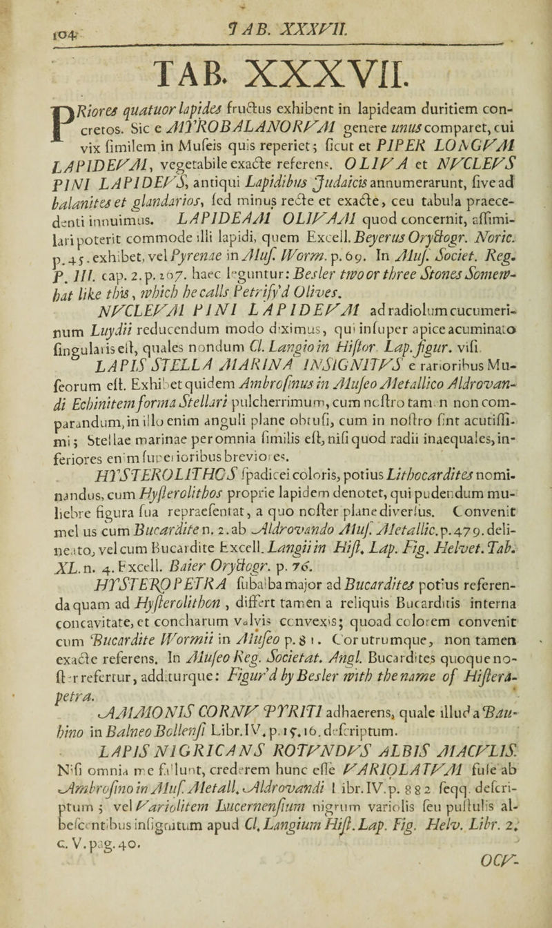 7 AB. XXXFll. 104. TAB. XXXVII. PRiores quatuor lapides fru&us exhibent in lapideam duritiem con¬ cretos. Sic c AlTROBALANORNAl genere unus comparet, cui vix (imilem in Mufeis quis reperiet; ficut et PIPER L0RGNA1 LAP1DENAF vegetabile exadle referenc. 0L1NA et NNCLENS PINI LAPI DENS-) antiqui Lapidibus 'Judaicis annumerarunt, live ad balanites et glandarios, fcd minus redle et exadle, ceu tabula praece¬ denti innuimus. LAPIDEA AI OWYA AI quod concernit, aflimi- laripoterit commode dii lapidi, quem Exceil. Beyerns OryPtogr. Noric. p. 4 5. exhibet, vel Pyrenae in Aluf. IVorm. p. 6 9. In Aluj. Societ. Reg. p ]H. cap. 2. p. 107. haec leguntur: Besler trvoortbree Stones Somerv- bat libe tbis, ivbich becalls Petrifyd Olives. NNCLEN/A P1 NI L A P ID EN’AI ad radiolumcucnmeri- num Luydii reducendum modo d’ximus, qui inluper apice acuminato fingulaiiseil, quales nondum Cl. Lanqioin Hi flor Lap.f^ur. vifi LAPIS STELLA MARINA INSIGNIENS e ranoribus Mu- feorum elt. Exhibet quidem Ambrofinus in Alufeo Aletallico Aldrovan- di Ecbinitem forma Stellari pulcherrimum, cum ncftro tam n non com- parandumjn illoenim anguli plane obtufi, cum in noflro fint acutiHi- mi; Stellae marinae per omnia fimilis ell, nifiquod radii inaequales, in¬ feriores en m fupei ioribus breviores. HTSTEROLITHCS 'padicei coloris, potius Litbocardites nomi¬ nandus, cum Hyflerolitbos proprie lapidem denotet, qui pudendum mu¬ liebre figura fua repraefentat, a quo nclder planediverliis. C onvenit mei us cum B urar di te n. 2. ab Mldrovando AJuJ. /lletallic. p. 47 9. deli¬ no to, vel cum Bucardite Exceil. Langiiin Hift, Ldp. Fig, Helvet. Tah. XL. n. 4. Fxcell. Baier Oryttcgr. p. 76. HTST E RO P ET R A fubalba major ad Bncardites potrus referen¬ da quam ad Hyfterolithon , differt tamen a reliquis Bucarditis interna Concavitate,et concharum valvis ccnvex>s; quoad colorem convenit cum Bucardite IVormii in Alufeo p. $ \. C or utrumque, non tamen exacie referens. In Alufeo Reg. Societat. Angi. Bucardites quoqueno- ftrrrefertur, additurque: FigurdbyBesler mth tbename of HifterA- petra. M AI AIO NlS CORNN B TRITI adhaerens, quale illud a Bdu- bino in BalneoBcllenfi Libr.IV.p. 1?j6.defcriptum. L APIS NI GRICA NS ROTNNDNS AL BIS AIACNLlS. N;fi omnia ire f\!lunt, crederem hunc cfie NARIOLATNAI fule ab MmbrojinoinAliif. Aletall,Mldrovandi 1 ibr.IV.p. 882 feqq deferi- ptmn $ vel Nariolitem hucernenfiwn nigrum variolis feu pullulis al- Defc< ntibus infigrutum apud Cl, Langium Hijl. Lap. Fig. Helv. Libr. 2; c. V.pag. 40. OCN-