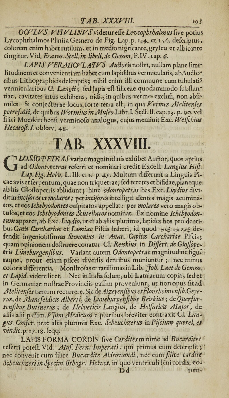 OCVLVS VITVLINVS videtur die Leveophth almus five potius Lycophthaimos Plinii a Gesnero de Fig. Lap.p. 144, et 1 56, deferiptus, colorem enim habet rutilum, et in medio nigricante, gryfeo et albicante cingitur. Vid, Erasm.Stell.in libell.de Gemm. P.IV. cap. LAPIS VERA11CVLATVS Auroris noftri, nullam plane fimi’ litudinem et convenientiam habet cum lapidibus vermiculatis, ab Au£lo ribus Lithographicisdefcriptis; nihil enim illi commune cumtubulatis vermicularibus Cl. Langii; fed lapis efl (iliceae quodammodo fubhan* tiae, cavitates intus exhibens > nidis* in quibus vermes exclufi, non abfi- miles Si conjedurae locus, forte terra efl, in qua Vtrmes Alelitenjes petrefafti, de quibus IVormius inAlufeo Libr. I. Sed. II. cap. 1$. p. 90. vel filici Moeskirchenfi verminofo analogus* cujus meminit Exc. IVelfchiui Hecatofi. L obferv. 48» * TAB. XXXVIII. GLOSSOTETRAS variae magnitudinis exhibet Au&or, quos aptius ad Odontopetras referri et nominari credit Excell. Langius Hift, Lap.Fig, Heh*. L* III. c. u p.49* Multum differunt a Linguis Pi¬ cae avis et ferpentum, quae non triq uetrae, fed teretes et bifidae,planeque ab his Gloffopetris abludunt; hinc odontopetras has Exc. Luydius divi¬ dit in incijbres et molare*) per incijbres imelligit dentes magis acumina¬ tos, et eos khtbyodontes cufpitatos appellat: per molares vero magis ob- tufos,eteos khtbyodontes Scutellatos nominat. Ex nomine khtbyodon- tum apparet, ab Exc. Luydio, ut et ab aliis plurimis, lapides hos pro denti* busCanis Carchariae et Lamiae Pifcis haberi, id quod 7rl>% dg de* fendit ingeniofifiimus Stenonius in Anat. Capitis Carchariae Pifcis; quam opinionem defiruere conatur Ch Reiskius in Differt, de GloJJope-- tris Liineburgenfibus. Variant autem Odontopetrae magnitudine figu¬ raque, prout etiam pifces diverfis dentibus muniuntur ; nec minus coloris differentia^ Monflrofas et rarifiimas in Lib. *Joh. Laet de Gemm* et Lapid. videre licet» Nec in Italia folum, ubi Lamiarum copia, (ed et in Germaniae noftrae Provinciis palfim proveniunt, ut non opus fit ad Alelitenjes tantum recurrere. Sic de Alzeyenjibus etFlons hehn enfib.Geye - rus, de Alansfeldicis Alberti, de Luneburgenfibiis Reiskius; dcQuerfur* tenfibus Buttnerus ; de Helveticis Langius, de Holfaticis Alajor, de aliis alii pafiim. Vfiitn Aledicum e pluribus breviter contraxit Cl. Lan- gns. Confer, prae aliis plurimis Exc. SchcucbZerus 'mPifcium querel, et vendic. p. 17.18. feqq. LAP IS FORMA CORDIS five Cardites minime ad Bucatdites referri poteft. Vid, Aluf. Fern. Imperati, qui primus eum defcripfit; nec convenit cum filice Bucardite Aldrovandi, nec cum flice cardite Scbeucbzeri in Specim. litboor. Helvet. in quo ventriculi bini cordis, eo- Dd rum-