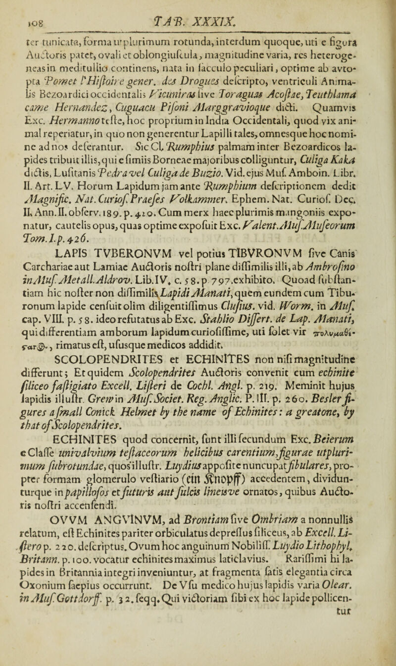 ter tunicata, forma urplurimum rotunda, interdum quoque, uti e figura Auroris patet, ovali et oblongiufcula, magnitudine varia, res heteroge- neas in medituliio continens, nata in iaccuio peculiari, optime ab avto- pta tornet 1'Hiftoire gener, des Drogues delcripto, ventriculi Anima¬ lis Bczoardici occidentalis Nicuniras live Joraguas Acojiae, Teutblama came Hernandez, Cuguacu Pifoni Adarggravioque didi. Quamvis Exc. Hermannotcfte, hoc proprium in India Occidentali, quod vix ani¬ mal reperiatur, in quo non generentur Lapilli tales, omnesque hoc nomi¬ ne ad nos deferantur. Sic Cb Bumphius palmam inter Bezoardicos la¬ pides tribuit illis,qui e fimiis Borneae majoribus colliguntur, Culiga Kaka didis, Lufitanis Bedravel Culigade Buzio. Vid.ejus Mufi Amboin. Libr. II. Art. LV. Horum Lapidum jam ante Bumphium deferiptionem dedit Alagnific. Nat. Curiof Praefes Volkammer. Ephem.Nat. Curiofi Dcc. II, Ann. II. obferv. 18 9. p. 4.1 o. Cum merx haec plurimis mangoniis expo¬ natur, cautelis opus, quas optime expofuit Exc. alent. AluJAlufeorum Tom.Lp.4-26. LAPIS TVBERONVM vel potius TlBVRONVM five Canis Carchariaeaut Lamiae Audoris noflri plane di{Iimilisilli,aby^w^rt///w<? inAluf Aletall.Aldrov. Lib.IV. c. 5 8.p 79?.exhibito, Quoad fiibffan- tiam hic noffernon diSim\Y\% Lapidi ALanati^ quem exjndtm cum Tibu- ronum lapide cenfuitolim diligentiffimus Clujius. vid. IVorm. in Alufi cap. VIII. p. 5 8. ideo refutatus ab Exc. Stahlio Differt. de Lap. AI anati, qui differentiam amborum lapidum curiofiflime, uti fblet vir ^-oAw^afls- rar^, rimatus efl,ufusque medicos addidit. SCOLOPENDRITES et ECHINlTES non nifimagnitudine differunt; Et quidem Scolopendrites Audoris convenit cum ecb inite filiceo fafligiato Excell. Lifleri de Coebi. Angi. p. 219. Meminit hujus Iapidis illuffr. Grewin Aluf. Societ. Keg. Anglic. P. Itt. p. 260. Beslerfi¬ gures afinali Conick Helmet by tbe name of Ecbinites: a greatone, by that ofScolopendrites. ECHINlTES quod concernit, funt illi fecundum Exc .Beierum eClaile univdlvium teftaceorum helicibus carentium figurae utpluri- mum fubrotundae, quos illuffr. LuydiuszppcSuc nuncupatfibulares, pro¬ pter formam glomerulo vefliario (Ctlt accedentem, dividun- turque in papilbfos et futuris aut fulcis lineisve ornatos, quibus Audo¬ ris noflri accenfendi. OVVM ANGVlNVM, ad Brontiam five Ombriam a nonnullis relatum, eff Echinites pariter orbiculatus deprellus filiceus, ab Excell. Li- fiero p. 220. defcriptus. Ovum hoc anguinum Nobililf Luydio Lithopbyl. Britann. p. 100. vocatur echinites maximus laticlavius. Rarifilmi hi la¬ pides in Britannia integri inveniuntur, at fragmenta fatis elegantia circa Oxonium faepius occurrunt. Dc Vfu medico hujus lapidis varia Olear. inAluf.Gottdorff. p. 3 2.feqq*Qui vidoriam fibiex hoc lapide pollicen¬ tur