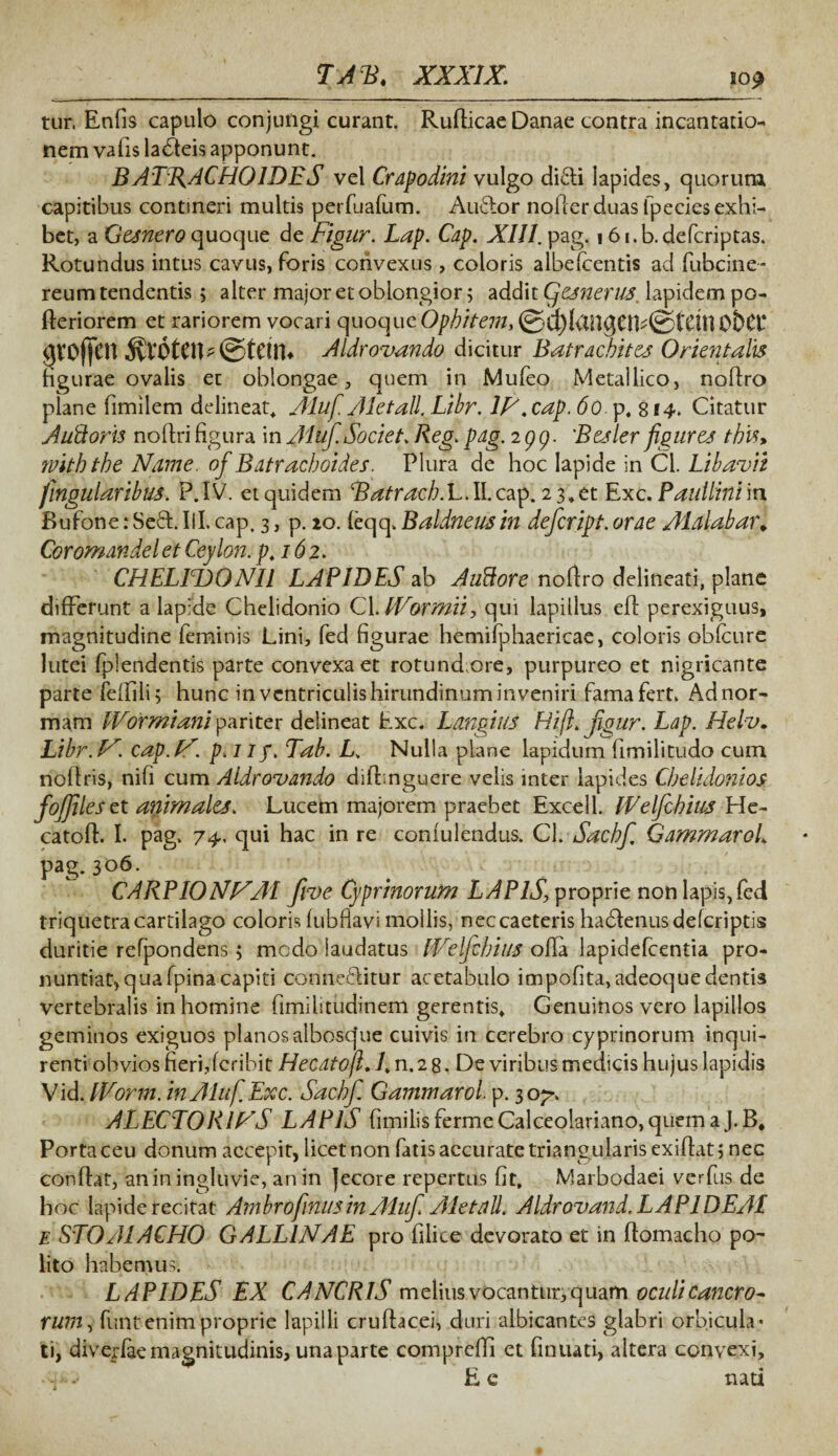 tur. Enfis capulo conjungi curant. Ruflicae Danae contra incantatio¬ nem vafis labeis apponunt. BAT%ACHOIDES vel Crapodini vulgo didi Iapides, cjuorum capitibus contineri multis perfuafum. Audor nofler duas fpecies exhi¬ bet, a Gesnero quoque de Figur. Lap. Cap. XIII. pag. 16 i.b. defcriptas. Rotundus intus cavus, foris convexus , coloris albelcentis ad fubcine- reum tendentis 5 alter major et oblongior; addit Qesnert/s. lapidem po- fleriorem et rariorem vocari quoque Opbitein, ©C^({tn^Cn-©fCtnOt)Cf* grofien $v6ten*©tan* Aldrovando dicitur Batracbites Orientalis hgurae ovalis et oblongae, quem in Mufeo Metallico, nolfro plane fimilem delineat* Aluf Aletall. Libr. IV.cap. 6o.y. 814. Citatur Auftoris noflri figura in Aluf. Societ. Reg. pag. igg. Besler figures tbis> ruitbthe Nam e. of Batracboides. Plura de hoc Iapide in Cl. Libavit fingularibus. P. IV. et quidem Batracb.L. II. cap. 2 3* et Exc. Paullini in Bufone:Sed. III. cap. 3, p. 20. feqq. Baldneusin defcript.orae Alolabar* Corornande l et Ceylon. p. 162. CHELIDONII LAPIDES ab Auftore noffro delineati, plane differunt a lapide Chelidonio ClAVormii, qui lapillus efl perexiguus, magnitudine feminis Lini, fed figurae hemifphaericae, coloris obfcure lutei fplendentis parte convexa et rotund ore, purpureo et nigricante parte felfili; hunc in ventriculis hirundinum inveniri fama fert. Ad nor¬ mam IVormiani pariter delineat Exc. Langius Hi(l> jigur. Lap. Helv. Libr.IC cap.lA. p. 1 If. Tab. L. Nulla plane lapidum fimilitudo cum noflris, nifi cum Aldrovando difbnguere velis inter lapides Chelidonios fojfilesex. animales. Lucem majorem praebet Excell. IVelfibius He~ catofh I. pag. 74, qui hac in re confulendus. Cl. Sacbfi Gammarol pag. 306. CARPIONVAI five Cyprinorum LAPlS, proprie non lapis, fed triquetra cartilago coloris fubflavi mollis, neccaeteris hadenusdefcriptis duritie refpondens; modo laudatus IVelfibius olla lapidefcentia pro¬ nuntiat, quafpinacapiti conneditur acetabulo impofita,adeoquedentis vertebralis in homine fimilitudinem gerentis* Genuinos vero lapillos geminos exiguos planosalbosque cuivis in cerebro cyprinorum inqui¬ renti obvios fieri,fcribit Hecatofi.I.n. 28. De viribus medicis hujus lapidis Vid. IVorm. in Aluf. Exc. Sacbfi. Gammarol. p. 307. ALECTORIVS LAPIS fimilisfermeCalceolariano,quemaJ.B. Porta ceu donum accepit, licet non fatisaccuratetriangularisexiflat; nec conflat, anin ingluvie, an in Jecore repertus fit, Marbodaei verfus de hoc lapide recitat Ambrofinus in Aiufi Aletoli. Aldrovand, LAPIDEA! E ST0A1ACH0 GALLINAE pro filice devorato et in flomacho po¬ lito habemus. LAPIDES EX CANCRIS melius vocantur, quam oculi cancro¬ rum^ funt enim proprie lapilli cruflacei, duri albicantes glabri orbicula* ti, diverfae magnitudinis, una parte compreffi et finuati, altera convexi, E. e nati