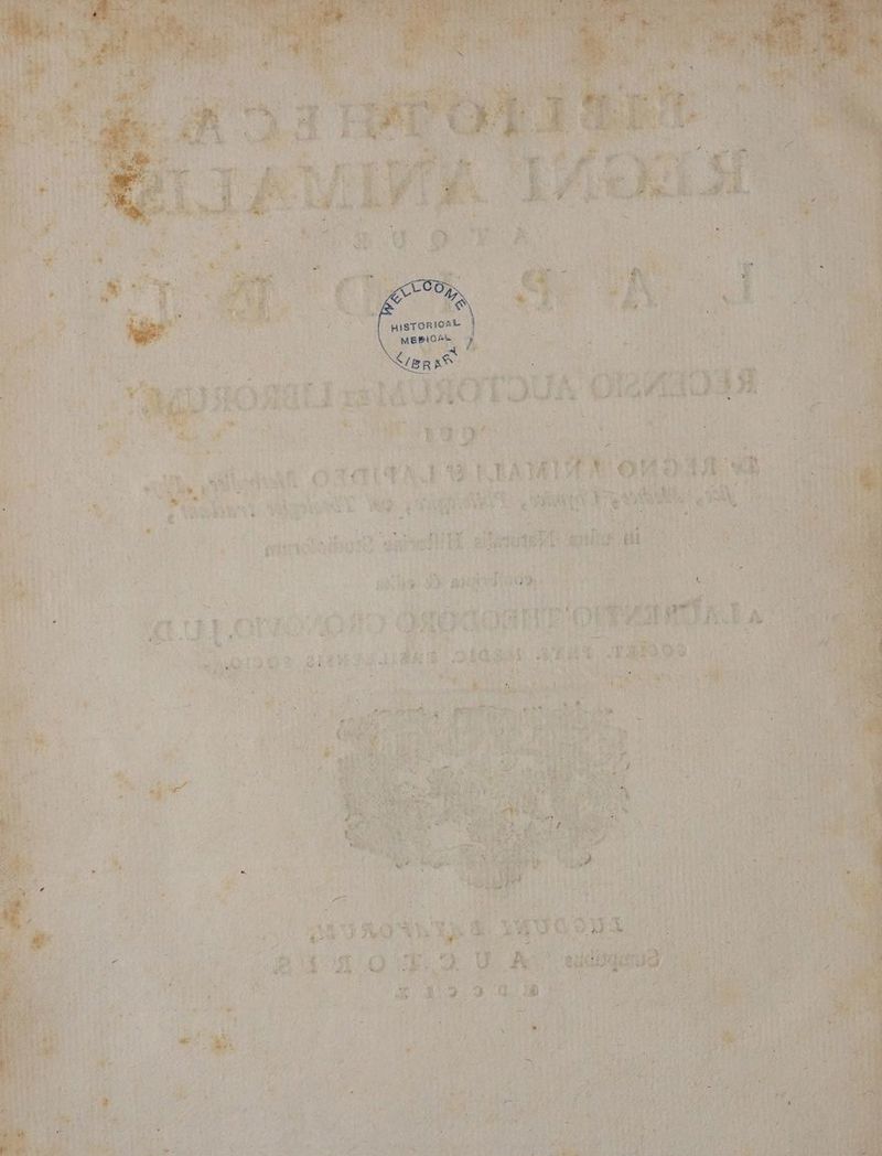- a BLA » ii Ih 1 : PEU bud, V uM à Ae:  1 * x plu. ^6 ^ p 7] ^ ^M 3 by 1 -  yy tg qu lY 9) Q NU Ü c. TÉ oot i i i í D j j LT [ / 140
