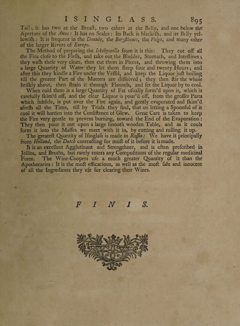 ISINGLASS. 895 Tail •, it has two at the Bread:, two others at the Belly, and one below the Aperture of the Anus: It has no Scales : Its Back is blackifh, and its Belly yel- lowifh : It is frequent in the Danube, the Boryjibenes, the Volga, and many other of the larger Rivers of Europe. The Method of preparing the lchthyocolla from it is this: They cut off all the Fins clofe to the Flefh, and take out the Bladder, Stomach, and Intedines ; they wafh thefe very clean, then cut them in Pieces, and throwing them into a large Quantity of Water they let them deep four and twenty Hours j and after this they kindle a Fire under the Veffel, and keep the Liquor juft boiling till the greater Part of the Matters are diffolved •, they then dir the whole brifkly about, then drain it through Flannels, and fet the Liquor by to cool. When cold there is a large Quantity of Fat ufually form’d upon it, which is carefully dcim’d off, and the clear Liquor is pour’d off, from the groffer Parts which fubfide, is put over the Fire again, and gently evaporated and fkim’d afredi all the Time, till by Trials they find, that on letting a Spoonful of it cool it will harden into the Confidence of Glew. Great Care is taken to keep the Fire very gentle to prevent burning, toward the End of the Evaporation : They then pour it out upon a large fmooth wooden Table, and as it cools form it into the Maffes we meet with it in, by cutting and rolling it up. The greated Quantity of Ifinglafs is made in Rujfia: We have it principally from Holland, the Dutch contrading for mod of it before it is made. It is an excellent Agglutinant and Strengthner, and is often prefcribed in Jellies, and Broths, but rarely enters any Compositions of the regular medicinal Form. The Wine-Coopers ufe a much greater Quantity of it than the Apothecaries : It is the mod efficacious, as well as the mod fafe and innocent of all the Ingredients they ufe for clearing their Wines. FINIS.