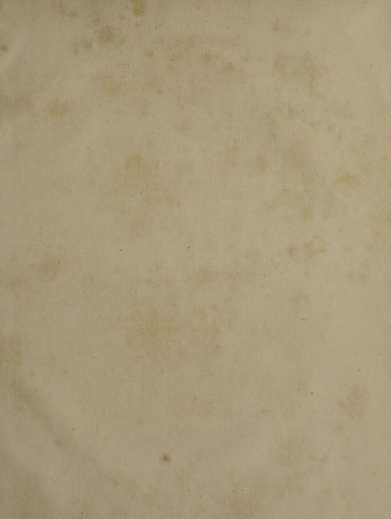 . ■ . , - • - - ■ • • : ■;*: ,V- 'V' . \. . . • ■ ■ r . ' . . | ir - •l 3? .