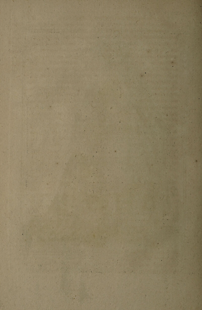 V 1 ft V * l % v v jr r ' 4 « « • * / / S* ; i A- /