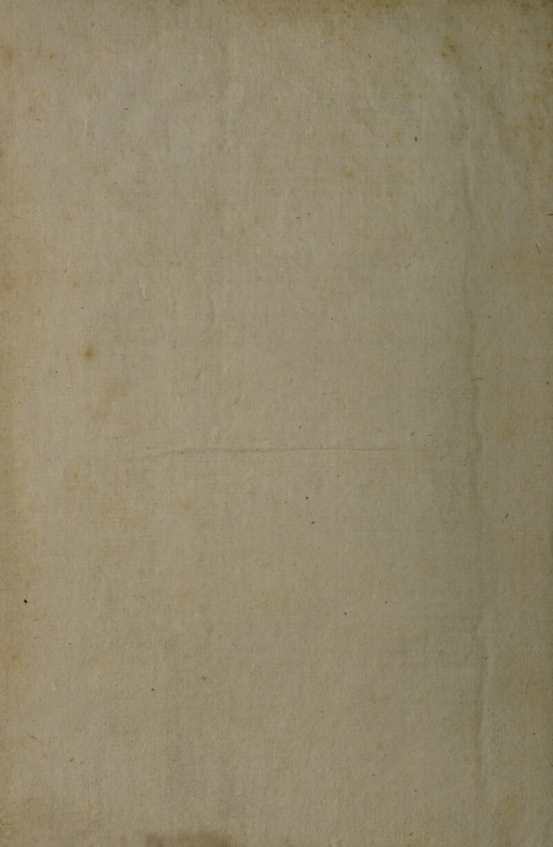 \ t - >ff h ■ 1 / S