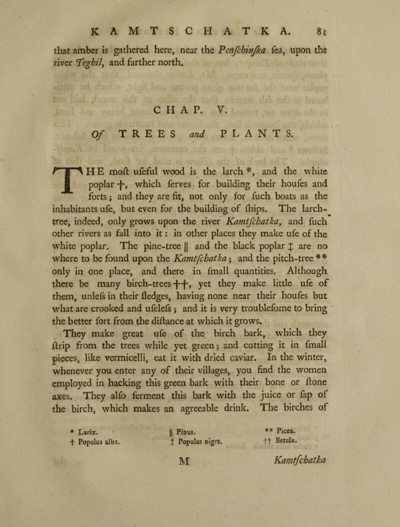 that amber is gathered here, near the Pmfchinjka fea, upon the river Teghil, and farther north. CHAP. V. Of TREES and PLANTS. TH E moft ufeful wood is the larch and the white poplar -f*, which ferves for building their houfes and forts; and they are fit, not only for fuch boats as the inhabitants ufe, but even for the building of fliips. The larch- tree, indeed, only grows upon the river Kamtfchatka, and fuch other rivers as fall into it: in other places they make ufe of the white poplar. The pine-tree (| and the black poplar J are no where to be found upon the Kamtfchatka; and the pitch-tree only in one place, and there in fmall quantities. Although there be many birch-trees yet they make little ufe of them, unlefs in their fledges, having none near their houfes but what are crooked and ufelefs; and it is very troublefome to bring the better fort from the diftance at which it grows. They make great ufe of the birch bark, which they flrip from the trees while yet green j and cutting it in fmall pieces, like vermicelli, eat it with dried caviar. In the winter, whenever you enter any of their villages, you find the women employed in hacking this green bark with their bone or flone axes. They alfo ferment this bark with the juice or fap of the birch, which makes an agreeable drink. The birches of * Larix. ' 11 Pinus. ** Picea. t Populus alba. J Populus nigra. tt Betula. M Kamtfchatka