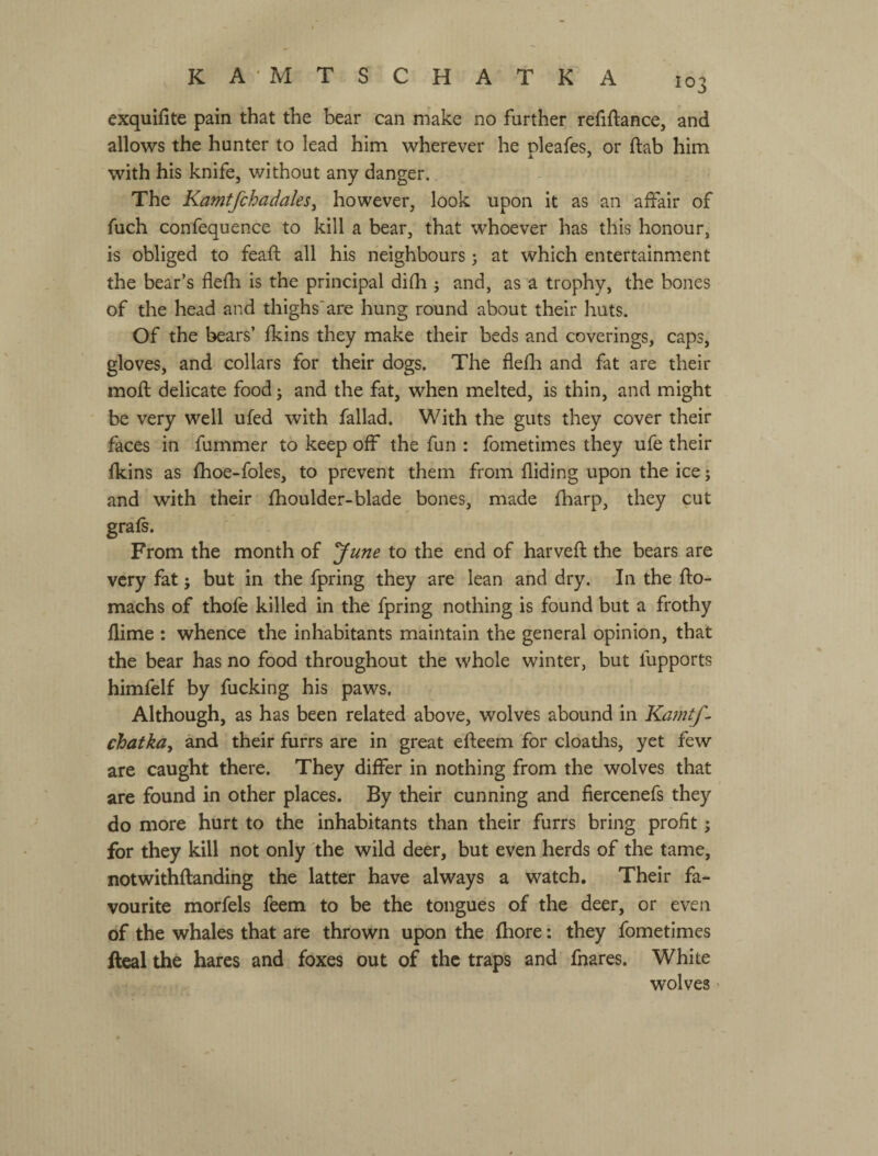 exquifite pain that the bear can make no further refiftance, and allows the hunter to lead him wherever he pleafes, or flab him with his knife, without any danger. The Kamtfchadales^ however, look upon it as an affair of fuch confequence to kill a bear, that whoever has this honour, is obliged to feaft all his neighbours j at which entertainment the bear’s flefh is the principal difh ; and, as a trophy, the bones of the head and thighs'are hung round about their huts. Of the bears’ fkins they make their beds and coverings, caps, gloves, and collars for their dogs. The flefh and fat are their rnofl delicate food j and the fat, when melted, is thin, and might be very well ufed with fallad. With the guts they cover their faces in fummer to keep off the fun : fometimes they ufe their fkins as fhoe-foles, to prevent them from Aiding upon the ice; and with their fhoulder-blade bones, made fharp, they cut grafs. From the month of yune to the end of harveft the bears are very fat; but in the fpring they are lean and dry. In the flo- machs of thofe killed in the fpring nothing is found but a frothy flime : whence the inhabitants maintain the general opinion, that the bear has no food throughout the whole winter, but fupports himfelf by fucking his paws. Although, as has been related above, wolves abound in Ka?ntf^ chatkay and their furrs are in great efteem for cloaths, yet few are caught there. They differ in nothing from the wolves that are found in other places. By their cunning and fiercenefs they do more hurt to the inhabitants than their furrs bring profit; for they kill not only the wild deer, but even herds of the tame, notwithflanding the latter have always a watch. Their fa¬ vourite morfels feem to be the tongues of the deer, or even of the whales that are thrown upon the fhore: they fometimes fteal the hares and foxes out of the traps and fnares. White wolves'