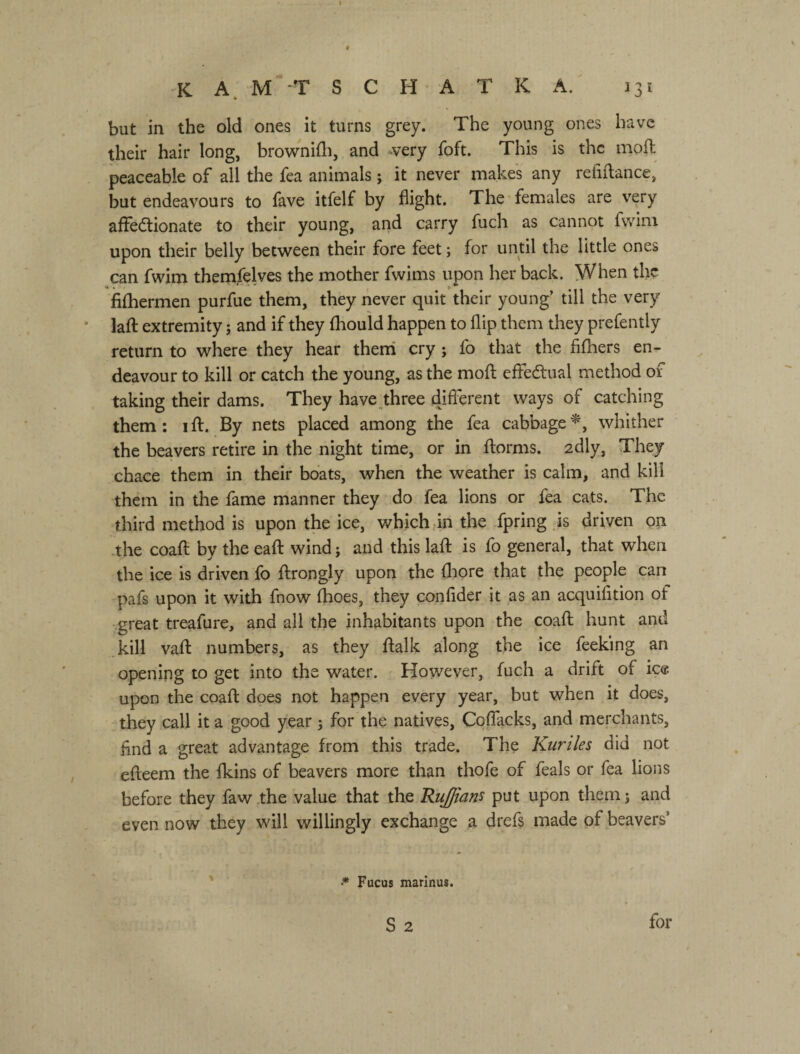 but in the old ones it turns grey. The young ones have their hair long, brownilli, and -very foft. This is the mofl peaceable of all the fea animals; it never makes any refiftance, but endeavours to fave itfelf by flight. The females are very affectionate to their young, and carry fuch as cannot fwim upon their belly between their fore feet; for until the little ones can fwim themfelves the mother fwims upon her back. When the fifhermen purfue them, they never quit their young’ till the very lafl: extremity; and if they fliouid happen to flip them they prefently return to where they hear then! cry; fo that the fifhers en¬ deavour to kill or catch the young, as the mofl: efFeCtual method of taking their dams. They have .three difi'erent ways of catching them; i ft. By nets placed among the fea cabbage whither the beavers retire in the night time, or in ftorms. 2dly, They chace them in their boats, when the weather is calm, and kill them in the fame manner they do fea lions or fea cats. The third method is upon the ice, which Дп the fpring js driven on the coaft by the eaft wind j and this laft is fo general, that when the ice is driven fo ftrongly upon the fliore that the people can pafs upon it with fnow ihoes, they confider it as an acquifition of •great treafure, and all the inhabitants upon the coaft hunt and .kill vaft numbers, as they ftalk along the ice feeking an opening to get into the water. However, fuch a drift of ic« upon the coaft does not happen every year, but when it does, they call it a good year 5 for the natives. Coflacks, and merchants. And a great advantage from this trade. The Kuriles did not efteem the fkins of beavers more than thofe of feals or fea lions before they faw the value that the Rujians put upon thernj and even now they will willingly exchange a drefs made of beavers’ * .* Fucus marinus. S 2 for