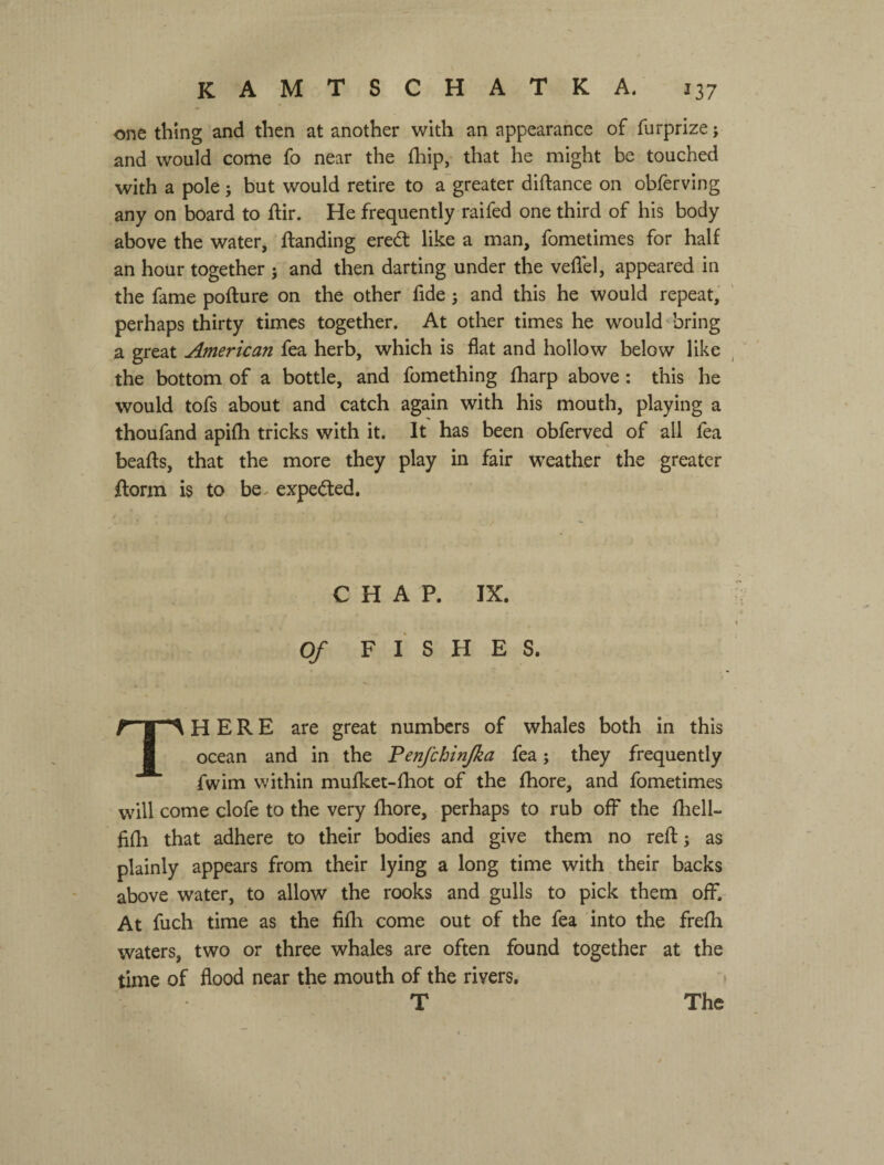 one thing and then at another with an appearance of furprize j and would come fo near the fhip, that he might be touched with a pole; but would retire to a'greater diftance on obferving any on board to ftir. He frequently raifed one third of his body above the water, ftanding eredt like a man, fometimes for half an hour together ; and then darting under the veflel, appeared in the fame pofture on the other fide 5 and this he would repeat, perhaps thirty times together. At other times he would bring a great American fea herb, which is flat and hollow below like the bottom of a bottle, and fomething fharp above: this he would tofs about and catch again with his mouth, playing a thoufand apifh tricks with it. It has been obferved of all fea beafts, that the more they play in fair weather the greater ftorm is to be, expedled. C H A P. IX. Of FISHES. THERE are great numbers of whales both in this ocean and in the Fenfchinjka fea; they frequently fwim within mufket-fhot of the fhore, and fometimes will come clofe to the very fhore, perhaps to rub off the fhell- fifh that adhere to their bodies and give them no reft; as plainly appears from their lying a long time with their backs above water, to allow the rooks and gulls to pick them off. At fuch time as the fifh come out of the fea into the frefh waters, two or three whales are often found together at the time of flood near the mouth of the rivers. f T The