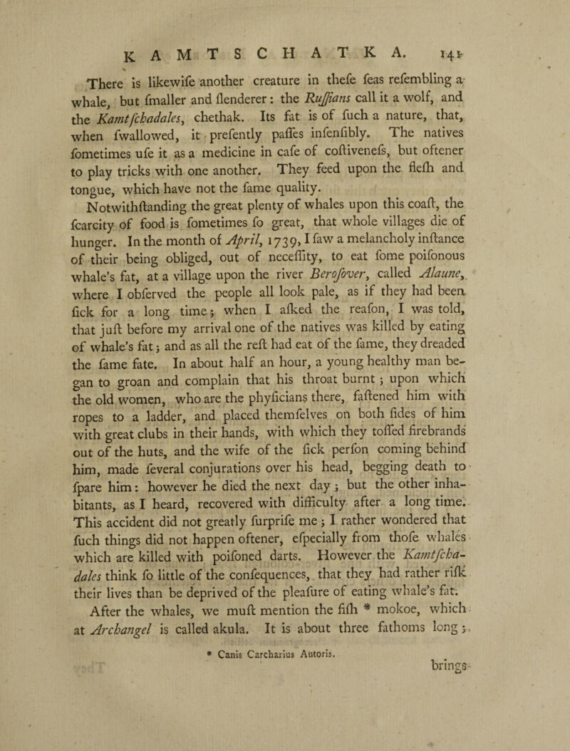 There is likewife another creature in thefe feas refembling a- whale^ but fmaller and flenderer: the Rujjians call it a wolf, and the Kamtfchadales, chethak. Its fat is of fuch a nature, that, when fwallowed, к prefently paffes infenfibly. The natives fometimes ufe it as a medicine in cafe of coftivenefs, but oftener to play tricks with one another. They feed upon the flelh and tongue, which have not the fame quality. Notwithftanding the great plenty of whales upon this coaft, the fcarcity of food is fometimes fo great, that whole villages die of hunger. In the month of April, 1739, Ifaw a melancholy inftance of their being obliged, out of neceffity, to eat fome poifonous whale’s fat, at a village upon the river Berofover, called Alaune,^ where I obferved the people all look pale, as if they had beea fick for a long time j when I alked the reafon, I was told, that jufl: before my arrival one of the natives was killed by eating of whale’s fatand as all the reft had eat of the fame, they dreaded the fame fate. In about half an hour, a young healthy man be¬ gan to groan and complain that his throat burnt *, upon which the old women, who are the phyficians there, faftened him with ropes to a ladder, and placed themfelves on both fides of him with great clubs in their hands, with which they toffed firebrands out of the huts, and the wife of the fick perfon coming behind him, made feveral conjurations over his head, begging death tO’ fpare him: however he died the next day j but the other inha¬ bitants, as I heard, recovered with difficulty- after a long time; This accident did not greatly furprife me j I rather wondered that fuch things did not happen oftener, efpecially from thofe whales which are killed with poifoned darts. However the Kamtfcha- dales think fo little of the confequences,. that they had rather rifle their lives than be deprived of the pleafure of eating whale’s fat. After the whales, we muff mention the fifh * mokoe, which- at Archangel is called akula. It is about three fathoms long 5 , * Canis Carcharius Autoris. bringS'