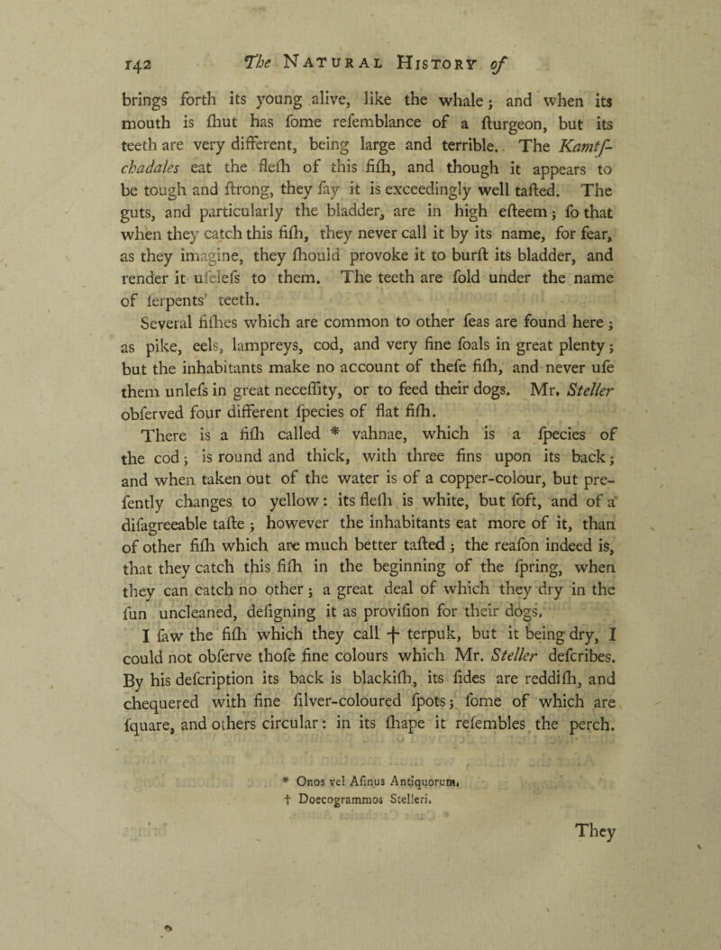 brings forth its young alive, like the whale; and when its mouth is ftut has fome refemblance of a fturgeon, but its teeth are very different, being large and terrible.. The Kamtf- chadales eat the flefli of this fifh, and though it appears to be tough and ftrong, they fay it is exceedingly well tallied. The guts, and particularly the bladder^ are in high efteem; fo that when they catch this fifh, they never call it by its name, for fear, as they imagine, they fliould provoke it to burfl its bladder, and render it ufelefs to them. The teeth are fold under the name of lerpents’ teeth. Several fiflaes which are common to other feas are found here; as pike, eels, lampreys, cod, and very fine foals in great plenty; but the inhabitants make no account of thefe fifh, and never ufe them unlefs in great neceffity, or to feed their dogs. Mr, Steller obferved four different fpecies of flat fifh. There is a fifh called * vahnae, which is a fpecies of the cod; is round and thick, with three fins upon its back; and when taken out of the water is of a copper-colour, but pre- fently changes to yellow: its flefh is white, but foft, and of a difagreeable taflie ; however the inhabitants eat more of it, than of other fifh which are much better tailed ; the reafon indeed is, that they catch this fifh in the beginning of the fpring, when they can catch no other; a great deal of which they dry in the fun uncleaned, defigning it as provifion for their dogs. I faw the fifh which they call -f- terpuk, but it being dry, I could not obferve thofe fine colours which Mr. Steller defcribes. By his defcription its back is blackifli, its fides are reddifli, and chequered with fine filver-coloured fpots;, fome of which are fquare, and others circular: in its fliape it refembles. the perch. * Onos vel Afinus Antiquorura, t Doecogrammos Stelleri. They