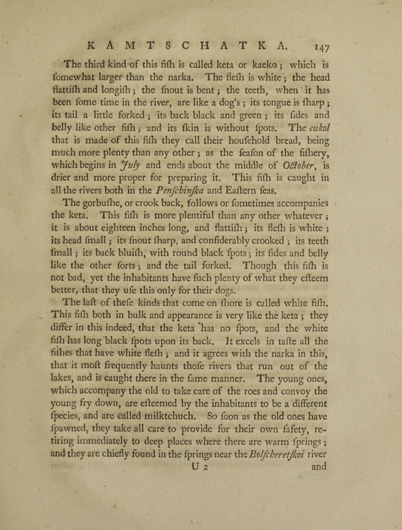 47 The third kind of this fifh is called keta or kaeko ; which is fomewhat larger than the narka. The flelh is white ^ the head flattilh and longifh 3 the hiout is bent ^ the teeth, when ' it has been fome time in the river, are like a dog’s ; its tongue is fharp; its tail a little forked; its back black and green ; its fides and belly like other fifh; and its fkin is without fpots. The eukol that is made of this fifli they call their houfehold bread, being much more plenty than any other ; as the feafon of the fifhery, which begins in July and ends about the middle of OSfober^ is drier and more proper for preparing it. This fifh is caught in all the rivers both in the Penj'chinjka and Eafiern feas. The gorbufhe, or crook back, follows or fometimes accompanies » the keta. This fifli is more plentiful than any other whatever ; it is about eighteen inches long, and flattifli 5 its flefli is white ; its head fmall j its fnout fharp, and confiderably crooked j its teeth fmall j its back bluifh, with round black fpots j its fides and belly like the other forts j and the tail forked. Though this fifh is not bad, yet the inhabitants have fuch plenty of what they efleem better, that they ufe this only for their dogs. The lafl of thefe kinds that come on fliore is called white fifh. This fifli both in bulk and appearance is very like the keta ; they differ in this indeed, that the keta has no fpots, and the white fifii has longhlack fpots upon its back. It exxels in tafie all the fiflies that have white flefh ; and it agrees with the narka in this, that it mofi: frequently haunts thofe rivers that run out of the lakes, and is caught there in the fame manner. The young ones, which accornpany the old to take care of the roes and convoy the young fry down, are efteemed by the inhabitants' to be a different fpecies, and are called milktchuch. So foon as the old ones have fpawned, they take all care to provide for their own fafety, re¬ tiring immediately to deep places where there are warm fprings j and they are chiefly found in the fprings near the Bolfcheretjkoi river U 2 and