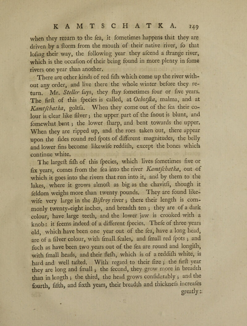 when they return to the fea, it fometimcs happens that they are driven by a ftorm from the mouth of their' native river, fo that lofing their way, the following year they afcend a ftrange river, which is the occafion of their being found in more plenty in fome rivers one year than another. There are other kinds of red fifh which come up the river with¬ out ar^ order, and live there the whole winter before they re¬ turn. Mr. Steller fays, they ftay fometimes four or five years. The firfi; of this fpecies is called, at Ochotjka, malma, and at Kamtjchatka, goltfa. When they come out of the fea their co¬ lour is clear like filver; the upper part of the fnout is blunt, and fomewhat bent ^ the lower fliarp, and bent towards the upper. When they are ripped up, and the roes taken out, there appear upon the fides round red fpots of different magnitudes, the belly and lower fins become likewife reddifh, except the bones which continue white. The largefi: fifh of this fpecies, which lives fometimes five or fix years, comes from the fea into the river Kamtfchatka^ out of which it goes into the rivers that run into it, and by them to the lakes, where it grows almoft as big as the chavitfi, though it feldom weighs more than twenty pounds. They are found like¬ wife very large in the Bijiroy river; there their length is com¬ monly twenty-eight inches, and breadth ten j they are of a dark colour, have large teeth, and the lower jaw is crooked with a knob: it feems indeed of a different fpecies. Thefe of three years old, which have been one year out of the fea, have a long head, are of a filver colour, with fmall fcales, and fmall red fpots; and fuch as have been two years out of the fea are round and longifh, with fmall heads, and their flefh, which is of a reddifh white, is hard and well tailed. With regard to their fize ; the firfi year they are long and fmall; the fecond, they grow more in breadth than in length ; the third, the head grows confiderably ; and the fourth, fifth, and fixth years, their breadth and thicknefs increafes