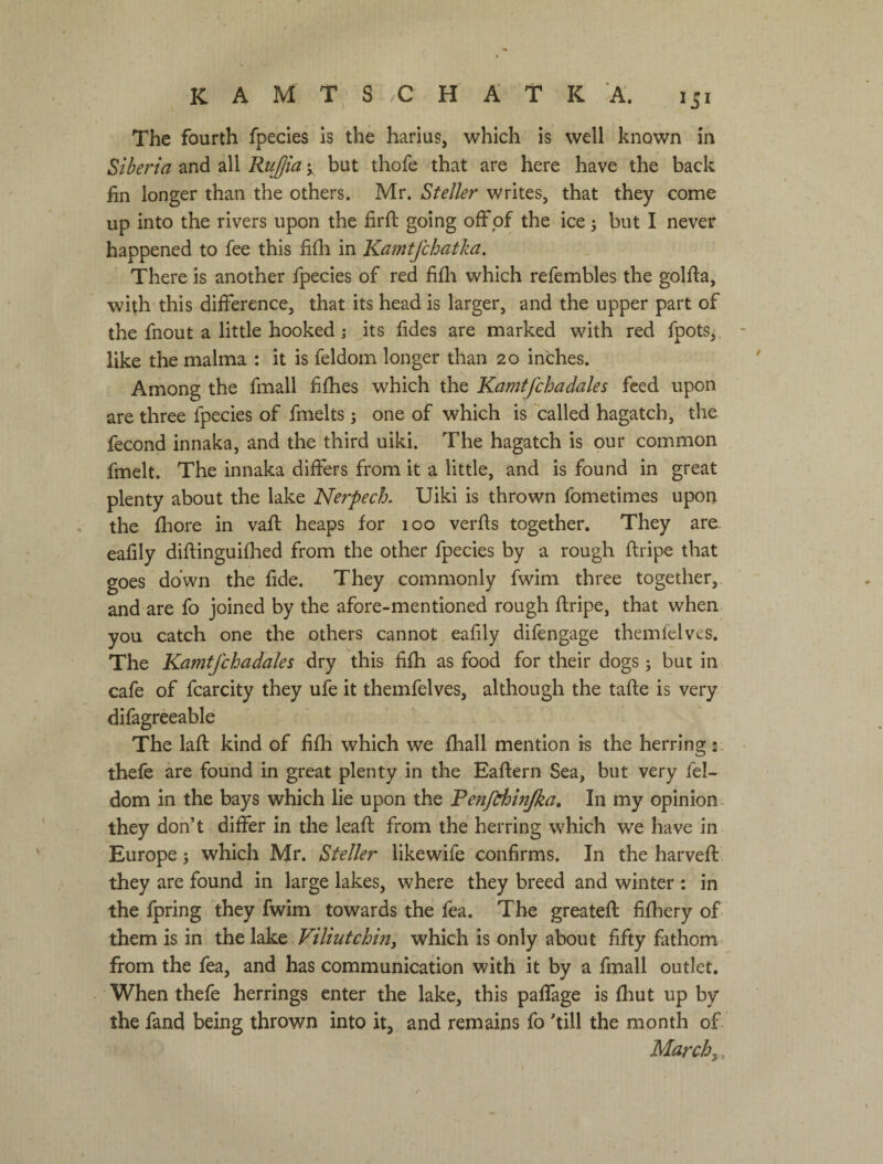 The fourth fpecies is the harius, which is well known in Siberia and all RuJJia but thofe that are here have the back fin longer than the others. Mr. Steller writes, that they come up into the rivers upon the firfi; going ofFpf the ice 5 but I never happened to fee this fifh in Kamtjchatka, There is another fpecies of red fifli which refembles the golfia, with this difference, that its head is larger, and the upper part of the fnout a little hooked j its fides are marked with red fpots, like the malma : it is feldom longer than 20 inches. Among the fmall fifhes which the Kamffchadales feed upon are three fpecies of fmelts; one of which is called hagatch, the fecond innaka, and the third uiki. The hagatch is our common fmelt. The innaka differs from it a little, and is found in great plenty about the lake NerpecL Uiki is thrown fometimes upon the fliore in vafi; heaps for 100 verfis together. They are eafily diftinguifhed from the other fpecies by a rough ftripe that goes down the fide. They commonly fwim three together, and are fo joined by the afore-mentioned rough ftripe, that when you catch one the others cannot eafily difengage themfelves. The Kamtfchadales dry this fifh as food for their dogs j but in cafe of fcarcity they ufe it themfelves, although the tafte is very difagreeable The laft kind of fifh which we fhall mention is the herring thefe are found in great plenty in the Eaftern Sea, but very fel¬ dom in the bays which lie upon the Penfchinjka» In my opinion , they don’t differ in the leafi: from the herring which we have in Europe; which Mr. Steller likewife confirms. In the harvefi: they are found in large lakes, where they breed and winter : in the fpring they fwim towards the fea. The greateft fifhery of them is in the lake Viliutchiny which is only about fifty fathom from the fea, and has communication with it by a fmall outlet. When thefe herrings enter the lake, this paffage is fhut up by the fand being thrown into it, and remains fo 'till the month of March у,