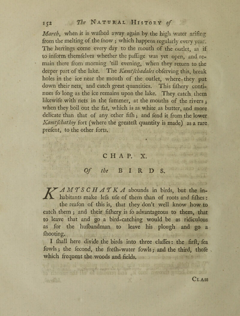 March^ when it is waflied away again by the high water arifing from the melting of the fnow ; which happens regularly every year. The herrings come every day to the mouth of the outlet, as if to inform themfelves whether the paflage was yet open, and re¬ main there from morning ’till evening, when they return to the deeper part of the lake. The Kamtfchadales obferving this, break holes in the ice near the mouth of the outlet, where-they put down their nets, and catch great quantities. This fifhery conti¬ nues fo long as the ice remains upon the lake. They catch them likewife with nets in the fummer, at the mouths of the rivers j when they boil out the fat, which is as white as butter, and more delicate than that of any other fifh; and fend it from the lower Kamtfchafkoy fort (where the greateft quantity is made) as a rare prefent, to the other forts. CHAP. X. Of the BIRDS. J^AMTSCHATKA abounds in birds, but the in- JL JL habitants make lefs ufe of them than of roots and fifhes: the reafon of this is, that they don’t well know how to catch them 5 and their fifhery is fo advantageous to them, that to leave that and go a bird-catching would be as ridiculous as for the hufbandman to leave his plough and go a fhooting. I fhall here divide the birds into three clafTes: the firft, fea fowls; the fecond, the frefh-water fowls j. and the third, thofe which frequent the woods and fields. Class