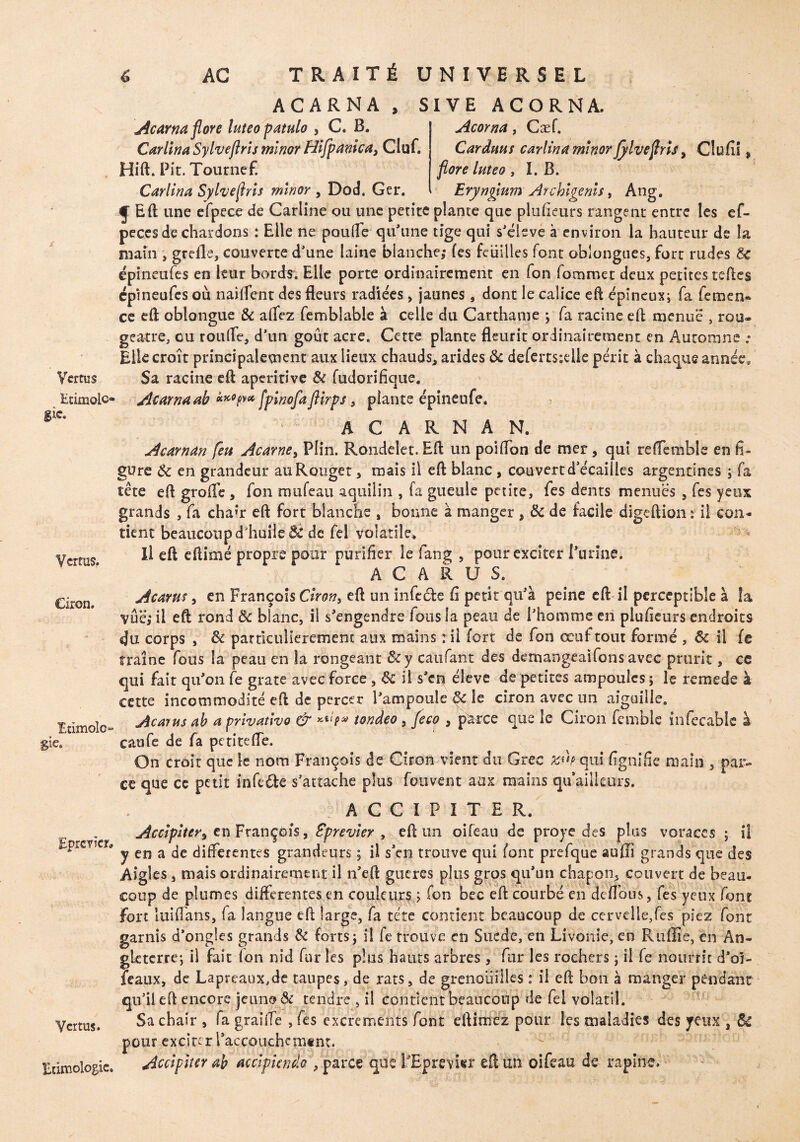 Htimolc» Sic. Vertus. Ciron. Etimoîo- gie. ' r EprcYÏcr, Vertus. Etimologic. 6 AG TRAITÉ UNIVERSEL ACAR NA Acarnaflore luteopatulo , C. B. Carlina Sylveftris mînor Hifpanica, Cluf. Hift. Pic. Tournef. Carlina Sylveftris minor , Dod. Ger. SI VE AC ORNA. Acorna, Cæf. Cardans carlina minor jylveftris, Clufii t flore luteo , I. B. Eryngium Archigenis, Ang. Eli une efpece de Cariine ou une petite plante que plusieurs rangent entre les ef- pecesde chardons : Elle ne poulie qu'une tige qui s’éieve à environ la hauteur de la main , grefle, couverte d’une laine blanche; (es feuilles font oblongues, fort rudes Sc épineufes en leur bords. Elle porte ordinairement en fon fommet deux petites telles epineufes où naiflent des fleurs radiées, jaunes, dont le calice eft épineux; fa femen- ce eft oblongue & alfez femblable à celle du Carthame -, fa racine eft menue , rou¬ geâtre, eu roulfe, d’un goût acre. Cette plante fleurit ordinairement en Automne .• Elle croît principalement aux lieux chauds, arides & deferts;die périt à chaque année* Acarnaab «*<>?** [pinofaftirps, plante épineufe. • ' A C A R N A N. Acarnan feu Acarne, Plin. Rondelet. Eft un poiftbn de mer, qui reffenible en fi¬ gure & en grandeur au Rouget, mais il eft blanc, couvert d’écaiiles argentines ; fa tête eft grolfe , fon mufeau aquilin , fa gueule petite, fes dents menues , fes yeux grands , fa chair eft fort blanche , bonne à manger ÿ Sc de facile digeftion ; il con¬ tient beaucoup d'huile & de fel volatile^ Il eft eftimé propre pour purifier le fang , pour exciter l’urine. A C A R U S. Acarus, en François Ciron, eft un infeéte fi petit qu’à peine eft il perceptible à la vue; il eft rond Sc blanc, il s’engendre fous la peau de l’homme en plufieurs endroits «Ju corps , Si particulièrement aux mains :il fort de fon œuf tout formé , Sc il fe traîne fous la peau en la rongeant Scy caüfant des demangeaifons avec prurit, ce qui fait qu’on fe grate avec force , Sc il s’en élève de petites ampoules; le remede à cette incommodité eft de percer l’ampoule & le ciron avec un aiguille. Acarus ab a privativo & tondeo, feco , parce que le Ciron femble infecable à caufe de fa petitefle. On croit que le nom François de Ciron vient du Grec qui fignifie main , par¬ ce que ce petit infe&e s’attache plus fouvent aux mains qu ailleurs. A C C I P I T E R. Accipiter, en François, Eprevier , eft un oifeau de proye des plus voraces ; il y en a de differentes grandeurs ; il s’en trouve qui font prefque auffi grands que des Aigles j mais ordinairement il n’eft gueres plus gros qu’un chapon^ couvert de beau¬ coup de plumes differentes en couleurs ; fon bec eft courbé en de flou s, fes yeux font Fort luifians, fa langue eft large, fa tête contient beaucoup de cervelle,fes piez font garnis d’ongles grands & forts; il fe trouve en Suède, en Livonie, en Ruffie, en An¬ gleterre; il fait ion nid fur les plus hauts arbres , fur les rochers ; il fe nourrit d’oi- feaux, de Laprcaox^de taupes, de rats, de grenouilles : il eft bon a manger pendant qu’il eft encore jeun?? ôc tendre , il contient beaucoup de fel volatil. Sa chair , fa graille , fes excrements font eftimez pour les maladies des yeux , Sc pour exciter Taccouchcnumt. Accipiter ab accipkndo , parce que l'Bjprevicr eft un oifeau de rapine.