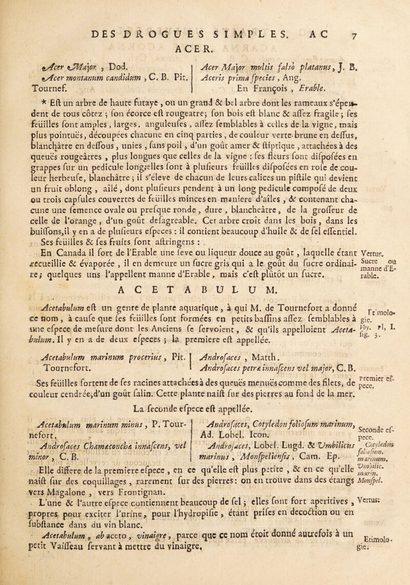 DES DROGUES SIMPLES ACER. tActr iJMajor 5 Doc!. Acer Ma\or multis falsb platanus, J. B. ^Acer montamtm candidum , C. B. Pi:. Aceris prima fpecies , Ang. Tournef. < En François, Erable. * Eft un arbre de haute futaye , ou un grand & bel arbre dont les rameaux s'épe»- dent de tous cotez ; ton écorce eft rougeâtre; Ton bois eft blanc 8c allez fragile ; fes feuilles font amples, larges, anguleufes, alfez femblables à celles de la vigne, mais plus pointues, découpées chacune en cinq parties , de couleur verte-brune en deffus, blanchâtre en deffous, unies , fans poil , d’un goût amer 8c ftiptique , attachées à des queues rougeâtres , plus longues que celles de la vigne : fes fleurs font dilpofées en grappes fur un pédicule long,‘elles font à plufieurs feuilles difpofées en rofe de cou¬ leur herbeufe, blanchâtre ; il s'élève de chacun de leurs calices un piftile qui devient un fruit oblong , aîlé , dont plufieurs pendent à un long pédicule compofé de deux ou trois capfules couvertes de feuilles minces en maniéré d’aîles, 8c contenant cha¬ cune une fcmence ovale ou prefque ronde , dure , blancheâtre, de la groffeur de celle de l’orange , d’un goût defagreable. Cet arbre croît dans les bois, dans les jhuiffons,il y en a de plufieurs efpeces : il contient beaucoup d’huile ÔC de fei effentiei. Ses feuilles 8c fes fruits font aftringens : _ En Canada il fort de l’Erable une feve ou liqueur douce au goût , laquelle e'tant Vertu?, recueillie ôc évaporée , il en demeure un fucre gris qui a le goût du fucre ordinai- Sucre , r ,, n M ° , n & A r manned£- re; quelques uns I appellent manne d Erable , mais c eft plutôt un lucre. rable. ACETABULUM. Acetabulum eft un genre de planre aquatique , à qui M. de Tournefort a donné rt’molo» ce nom , à caufe que les feuilles font formées en petits bafïîns afiéz femblables à gie. mie efpece de mefure dont les Anciens fe fervoient, 8c qu’ils appelloient Aceta- foy- ,pî> I# bulum. Il y en a de deux efpeces ; la première eft appelîée. Acetabulum marinum procerius > Pit. Androfaces , Matth. Tournefort. Androfaces petrœ innafeens vel major, C. B. Ses feuilles fortent de fes racines attachées à des queues menues comme des filets, de couleur cendrée,d’un goût falin. Cette plante naift fur des pierres au fond de la mer. La fécondé efpece eft appelîée. Acetabulum marinum minus , P. Tour- Androfaces, Cotylédon follofnm marinum, Sc ^ ^ premier ci- pece. ne fort. Androfaces Chamaconcha innafeens, vel mmor C.B. Ad. Lobeh Icon. pcce. Androjaces, Lobt i. Lugd. 8c Vrnbilicus Cotylédon marinus » Monfpellenfis , Cam. Ep. mmmm. Elle différé de la première efpece , en ce qu’elle eft plus petite , 8c en ce qu’elle naift fur des coquillages, rarement fur des pierres: on en trouve dans des étangs MonfpeL vers Magaione , vers Frontîgnan. L’une ôc l’autre efpece contiennent beaucoup de fel ; elles font fort aperitives , Vertus; propres pour exciter l’urine, pour i’hydropifie , étant prifes en decoélion ou en fubftance dans du vin blanc. Acetabulum , ab aceto , vinaigre, parce que ce nom écoit donne autrefois à un £timoj0. petit Vaiflcau fervant à mettre du vinaigre, gie.