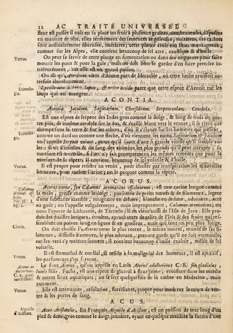 fleur cft paflee il naît en fa place un früit 'à en manière de tête, clics renferment des fcmeiièé^ (ont ordinairement 'pfôïït# êtëtétettl Étviïtâh® comme fur les Alpes, clic contient beaucoup de fel acre, caufllqëè 'Û On peut fe fervir de cette plante en fomentation ou dan s de# jfatir îûârc mourir les poux & pour la gale Lmdis ottddk Bien fe garder d'en faire prendre in- tcrieuremeiit ,x]cafefilfbdfci»fc^mnd poifon^ k üoznml ip t On dit qu’&écmytim vient d'Acone port de Heraclée , où cette herbe croiiïoit au- /* • - i ■ a 4 * ï> A* Crî*1 *'1' ^ v w 5 àJ1) Erimolo- |ie. <“,!*>£ ïj> 9.JÜ jasmini S-^b*. i&m .9113V 93*iT A C O N T I A. • - Acontla. Jacuhm, Samtarmm. Cherüàmm. Serpensvdanj, w f j r . T , 1 ■■ - :. « . . « i j ‘ . ya i ^ Eit une elpecc de lerpent des Indes gros comme le doigt, & long de trois ou qua- ùb Slb fifff rl/* mr lf» rinc ^rcitll^ Klinr um-c If» venerp t il \& fîf>nf ouV â© qtn^inlqa Cénchrto» sq nO ou q Vertus. 1er i il vit d'infectes- S$ «tâfeg, des? apinjaipx le morfureeft œoiSeterjsfiJaftiI iÿÿ niorfure de-laSSf.eie| itcflnti^-^euucoupd! Il eft propre pour re fi lier au venin , pour chaïier ________3T.., », r T .r ,, . rr « r ^Slüi&aiJbai WjI.iq Jîs 3î? ■.ïjo «.âfjjii (SiînH mon s^jslli v rm oldel Eaton * * b 9l j Suëk’ fub'ftâAbc^ErêÛ9ê, rôi 0_, _ .. ti$: i. au goût ; on l’appelle vulgairement, mais improprement, CaUmus aromaticus y on nous l'aporte de Lithuanie, de Tartarie ; il en vient kuflî de rifle de Java : Elle pro- Choix. q * il O if A I. nous l'aporte de Lithuanie, de Tartarie ; il en vient auiïl de l llie de Java : Llle pro¬ duit des feuilles longues, étroites, aprochantes de çelles dç l'Iris & des fruits qui ref- femblent au poivre long en figure & en grofieur , mais qui font un peu plus longs. On doit choifir Y<tAcorusverus le plus recent , le mieux nourri, mondé de fts fi¬ laments , difficile a rompre, le plus odorant, prenant garde qu’il ne foit vermoulu, caries vers s'y mettent fouvent > il contient beaucoup d'huile exaltée, mêlée de Tel volatile, r ^ O Ê1 î“- ». >r K 3 v, 7 'if r* ro r- h jfc ') Il efl flomachal St cordial ,il refifle à la malignité des humeurs, il eft apciitif y les parfumeurs s'en fervent, svvrw *- f-aix Acorus , qu'on appelle en Latiti Acorus aduîtenms C. B. fw glœdioluj j duiterims. luteîs tiliis , Fuchs , efl uneefpece de glaïeul à fleur jaune , c roi fiant dans les marêtl fùteistîieit & autres lieux aquatiques y on fe fert quelquefois de la racine en Médecine , mais . .. ..._ : • . T Vertus, Acorus a- ternu< Vertus. rarement. Elle eft atténuante , refolutive , forrifiante, propre pour ïnoderer lecours deven* M t i c /c 5 i o > tre & les pertes de fang. A C U , ' i | S. ^mitoii.e?3nmai£ bsiq mi% i «êsliuj'.l itî1Î3.3C-îsb qïfOOU4B3a Aigiu le j£cus JnftoteUs , En François Aimille d Anftote y eft un poiflbn de mer long i un pied & demi,gros comme le doigt, jaunâtre, ayant eri quelque manière la forme d une