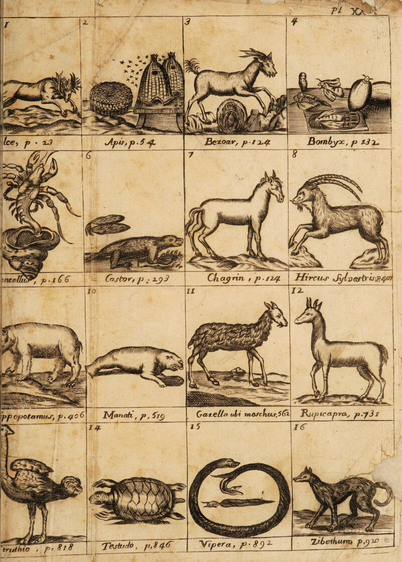 Bomtyoc, P <*^rs HircUtf Sylvefbrw,?,$& J^cmabt ni ose pp çpotarrm*r, p. £f %ibetkimvi fÿ 'X'ejhicto, j. trtdftw 1 Æ $Ë |m\ If _ %■