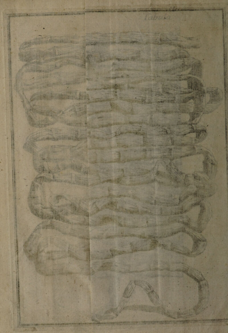 ' ...... ■ >•. »• t t.a -> *«*?» . ' =cr fc —■* 1 -■•: Vf ** ,., * . <*V* • \ ’;i! ii „ v|t • ‘ * ‘ v> .• **?• ►fc •■■ • J i- ; v' 4; .* } |  • W‘ j ' \ ft 1 - : ■ ' ' . < 1 -• . _ . * , >> ■ —«• • •>.' - 'f' « ,/.S**gKju yj «J**4 . - - *:■ • - ' - -.STjte, ' . - . 5’ V. - t-k. e ii * .i f !1 *., 4 •, «?'•'? ' *Xs'Mn' - ' • ■ • . s ' 'sj-  >*|-v . -^ lf *! ■ 4/ ': v ... ' ■ - ** ’ i *:*• .** I ■ : r / . > • ■ «i .... ♦ K , - . f.’ •: v v V-t ■ ’ *4. * -i?.,', ■ a*.. , . • 4?.. ■ . ' •*: \ ■ V .$'*-■ fi' « •{ , • *» H >TSr* ’ * V V: „ > . fU. - - • et:.- . ‘ i • -i' 4 1 -'f -5 • -1* V VfA' v» •» 5' >, ..-T - i*- • *-t -: :.y >*. <:V, >r ' ■ ^ _ t' v c r- r > VJ- U %■ r '+ '*“h W' & • . . ■■ . «■ ■t '»- •.. -. .h i*. w- ***... -»v . . ' •,T T6- * ’ *i ' %