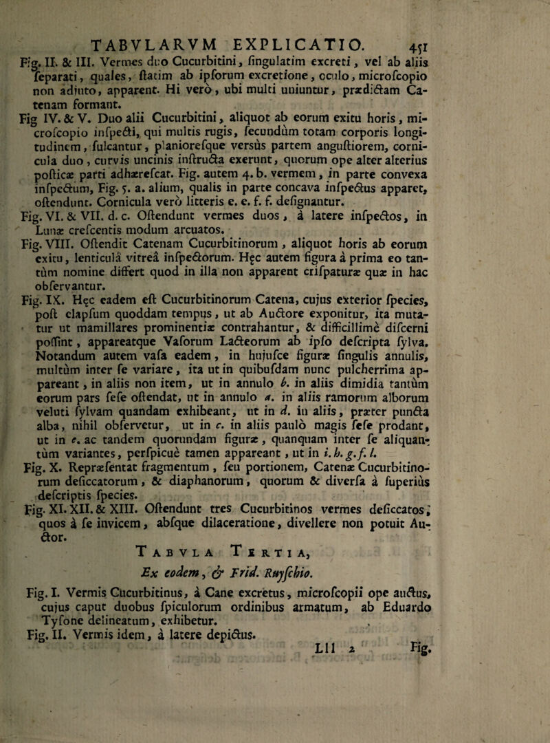 TABVLARVM EXPLICATIO. 4Si Fig. II. & III. Vermes duo Cucurbitini, fingulatim excreti, vel ab aliis feparati, quales, ftatim ab ipforum excretione, ccnlo, microfcopio non adjuto, apparent. Hi vero, ubi multi uniuntur, prardidam Ca¬ tenam formant. Fig IV. & V. Duo alii Cucurbitini, aliquot ab eorum exitu horis, mi¬ crofcopio infpedi, qui multis rugis, fecundum totam corporis longi¬ tudinem , fulcantur, planiorefque versus partem anguftiorem, corni¬ cula duo , curvis uncinis inftruda exerunt, quorum ope alter alterius pofticae parti adhaerefcat. Fig. autem 4. b. vermem, in parte convexa infpedum, Fig. 5. a. alium, qualis in parte concava infpedus apparet, oftendunt. Cornicula vero litteris e. e. f. f. defignantur. Fig. VI. & VII. d. c. Oftendunt vermes duos , a latere infpedos, in Luna: crefcentis modum arcuatos. Fig. VIII. Oftendit Catenam Cucurbitinorum , aliquot horis ab eorum exitu, lenticula vitrea infpedorum. H^c autem figura a prima eo tan¬ tum nomine differt quod in illa non apparent crifpatura: quae in hac ob fervantur. Fig. IX. H$c eadem eft Cucurbitinorum Catena, cujus exterior fpecies, poft elapfum quoddam tempus, ut ab Au&ore exponitur, ita muta¬ tur ut mamillares prominentiae contrahantur, & difficillime difeerni poffint, appareatque Vaforum Ladeorum ab ipfo deferipta fylva. Notandum autem vafa eadem, in hujufce figura: fingulis annulis, multum inter fe variare, ita ut in quibufdam nunc pulcherrima ap¬ pareant , in aliis non item, ut in annulo b. in aliis dimidia tantum eorum pars fefe oftendat, ut in annulo a. in aliis ramorum alborum veluti fylvam quandam exhibeant, ut in d. in aliis, przter punda alba, nihil obfervetur, ut in c. in aliis paulo magis fefe prodant, ut in e. ac tandem quorundam figurae, quanquam inter fe aliquanr tum variantes, perfpicue tamen appareant, ut in i. Lg.fl. Fig. X. Repraefentat fragmentum , feu portionem, Catenae Cucurbitino¬ rum deficcatorum, & diaphanorum, quorum & diverfa a fuperius deferiptis fpecies. Fig. XI. XII. & XIII. Oftendunt tres Cucurbitinos vermes deficcatos; quos £ fe invicem, abfque dilaceratione, divellere non potuit Au- dor. Tabvla Tertia, Ex eodem, & Erid. Ruyfcbio. Fig. I. Vermis Cucurbitinus, a Cane excretus, microfcopii ope audus, cujus caput duobus fpiculorum ordinibus armatum, ab Hduardo Tyfone delineatum, exhibetur. Fig. II. Vermis idem, a latere depidus. LI1 z Fig.