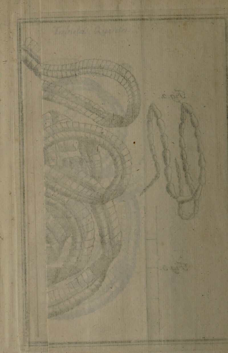 »*• • ■ /..v. • - • < V * * nw f * «fc* H rp- ft» X. >“\ ■ • i. •• . A.' - •. '• i= '. Xa**'' ‘ w, ■ : ' / „4 V £ V . ' v - * 'V , > *» *»v - 5: -V A.i - >< • v . rr-7' ' 1' >?' •r' ' . •» < * * , * N \ ‘ y < -v; j* ** 1 »1 I - ;- ; jr tx »* «i. 1 *. t Vf v V • i •• <• i ••' •: l '■ V. I - « . -! • s X i’ X i - t? 4 t - ■'> '4. t) Vi d\ t. t >. ;v i' A • f. ^; » L* ■ C ■f--' - i ,. 1 *' >. ■ ’ 1 '** \ I / J .f ' r /t * ; • *■ * • ’4 - •>*- jr v .. ... •. f ' Wi ' X ' >^7 ■■ • •: ■ .' * r/ ■ .• . .. • ■' ’■ ■ ■■-,. .. * - « v; t,* '• J ' *%. + *