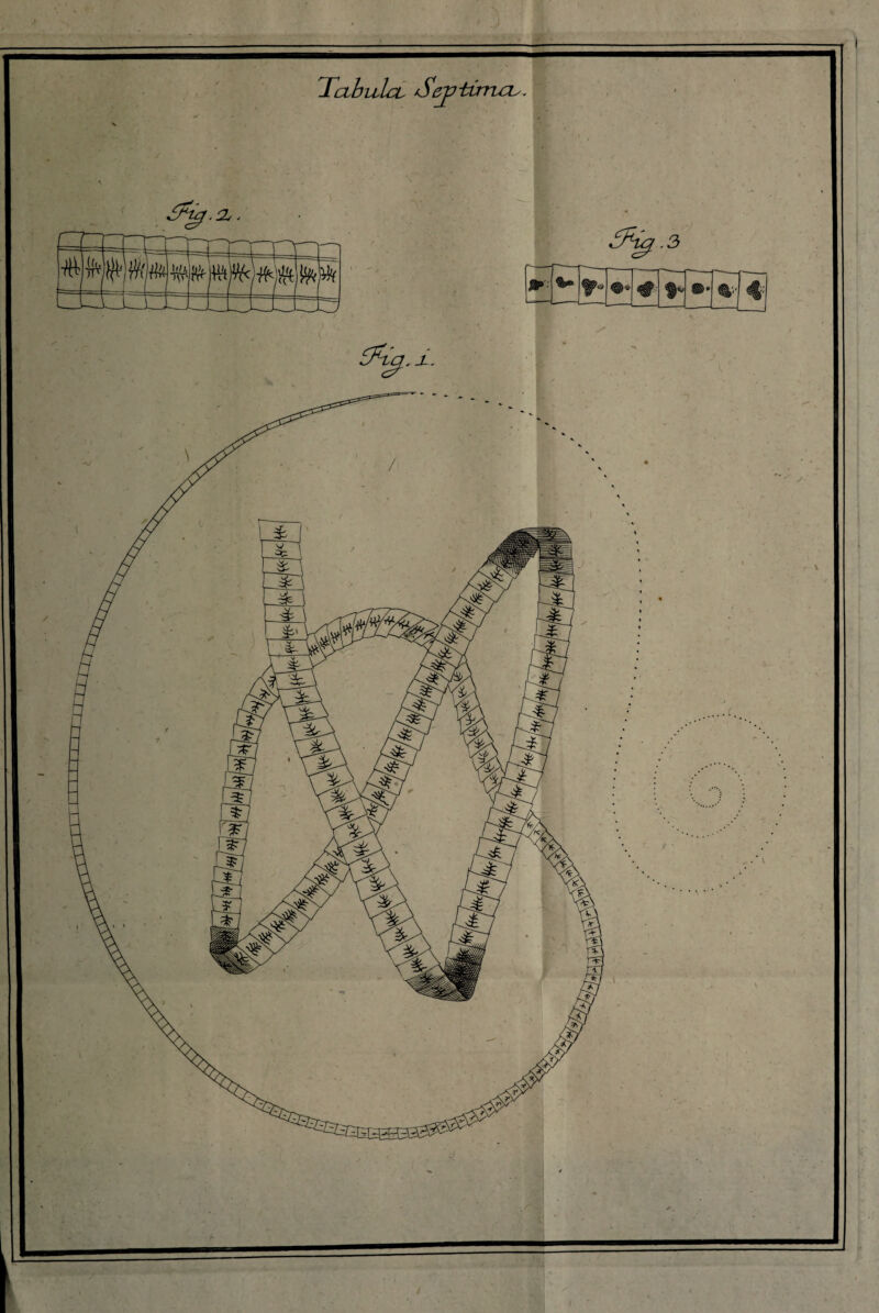 licibiilcL Sejftirricu. —x— -- 1(/>, ti) n^rr f-