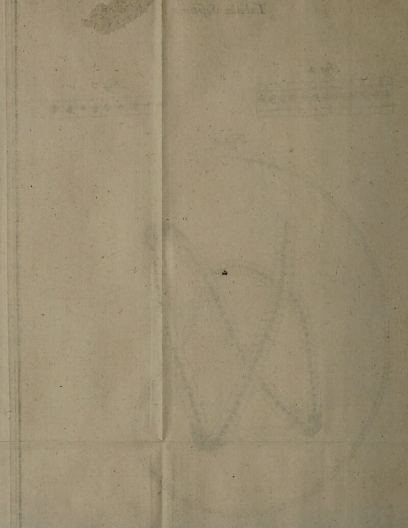 i te t / ■f • • > >v ■ \ • 's . V i ■ fer . F \ C