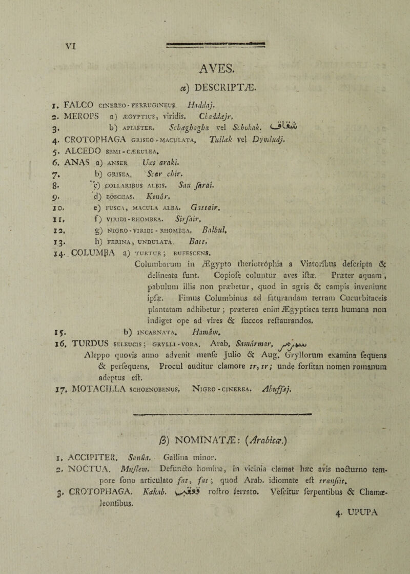 AVES. ct) DESCRIPTAE. 1, FALCO CINEREO - FERRUGINEUS HdAlhlj. 2. MEROPS a) Aegyptius, viridis. Claddcejr, g, b) apiaster. Scbagbugba vel Scboknk. 4. CROTOPHAGA griseo -maculata, TulLtk vej. Dymludj. 5. ALCEDO SEMI - CAERULEA» 6. ANAS a) anser Uus araki. 7. b) grisea, Scnr chir. 8- c) COLLARIBUS ALBIS. Sau Jhrai, 9- d) boschas. Kenar ♦ 10, e) fusc\, macula alba. G.tttair. 11, f) VIRIDI - RI-IOMBEA. Sirfiir. 13. g) NIGRO - VIRIDI - RHOMBEA, Blllbllf 13- ll) FERINA , UNDULATA. Btltt. i 4- COLUMpA a) turtur ; RUFESCENS. Columbarum in iEgypto theriotrophia a Viatoribus defcripta & delineata funt. Copiofe coluntur aves iftce. Praeter aquam , pabulum illis non praebetur, quod in agris & campis inveniunt ipfae. Fimus Columbinus ad fatqrandam terram Cucurbitaceis plantatam adhibetur ; praeterea enim iEgyptiaca terra humana non indiget ope ad vires & fuccos reftaurandos, I 5. b) INCARNATA, H<Wiat)l+ 16, TURDUS seleucis ; grylli - vora. Arab, Samarmar. Aleppo quovis anno advenit menfe Julio <St Aug, Gryllorum examina fequens & perfequens. Procul auditur clamore tr,tr; unde forfitan nomen roinanum adeptus ed. jy, MOTACILLA schoenobenus, Nigro-cinerea. Abufftj. ---- - — ■ - - . rr N /3) NOMINATAE: (Arabica.) 1, ACCIPITER, Sntturi. Gallina minor. 2, NOCTUA. Mujlem. Defunclo homine, in vicinia clamat htec avis nodurno tem¬ pore fono articulato fnt, fit; quod Arab. idiomate ed tranfiit» CROTOPHAGA. Kakab. roftro ferrato. Vefcitur ferpentibus & Chamae¬ leontibus. 4. UPUPA