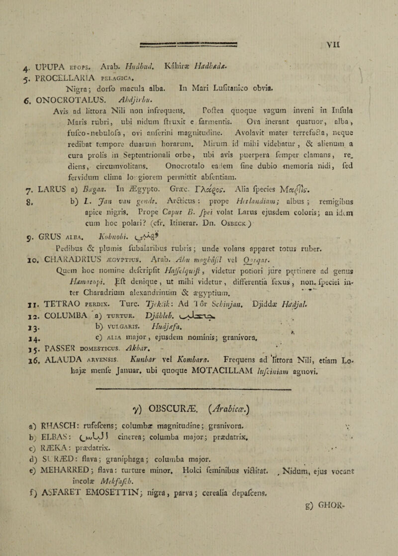 4- UPUPA epops. Aiab. Hudhud. Kahirae I-Ltdh&ds. 5. PROCFLLARIA pelagica. Nigra; dorfo macula alba. In Mari Lufitanico obvia. 6. ONOCROTALUS. Abdjirbu. Avis ad littora Nili non infrequens. Poftea quoque vagum inveni in Infula Maris rubri, ubi nidum ftruxit e far mentis. Ova inerant quatuor, alba, fufco-nebulofa, ovi anferini magnitudine. Avolavit mater terrefacla, neque redibat tempore duarum horarum. Mirum id mihi videbatur , & alienum a cura prolis in Septentrionali orbe-, ubi avis puerpera femper clamans, re_ cliens, circumvolitans. Onocrotalo eadem fine dubio memoria nidi, fed fervidum clima lo: giorem permittit abfentiam. 7. LARUS a) Bagaa. In JEgypto. Grate. TXctQos. Alia fpecies Mctflh» g, b) L. Jan vati gendt. Arcticus : prope Httlandiam; albus ; remigibus apice nigris. Prope Caput B. fpei volat Larus ejusdem coloris; an idem cum hoc polari? (cfr. Itinerar. Dn. Osbeck ) 9. GRUS alba. Kobnobi. Pedibus & plumis fubalaribus rubris; unde volans apparet totus ruber. 10. CHARADRIUS /egyptius. Arab. Alni maghajil vel Q nqat. Quem hoc nomine defcripfit Hajjclquiji, videtur potiori jure pertinere ad genus Hamatapu denique, ut mihi videtur, differentia Pexus, non. fpeciei in¬ ter Charadrium alexandrinum & segyptium. 11. TETRAO perdix. Ture. Tjeklik: Ad dor Schinjan, Djiddae HadjaU 12. COLUMBA a) turtur. Djdbltb. 13. b) vulgaris. Hudjsfa. 14. c) alia major, ejusdem nominis; granivora, 15. PASSER domesticus. Ahbar. 16. ALAUDA arveksis. Kunbar vel Kombarn. Frequens ad 'littora Nili, etiam Lo» hajse menfe Januar, ubi quoque MOTACILLAM lufctniam agnovi. y) OBSCURA. (Arabica.) a) RHASCH: rufefeens; columbar magnitudine; granivora. V b) ELBAS: 1 cinerea; columba major; praedatrix, c) RiEKA: praedatrix. . t • d) SCKJED: flava; granipliaga; columba major. e) MEHARRED; flava: turture minor. Holci feminibus victitat. , Nidum, ejus vocant incolae Mekfafcb. f) ASFARET EMOSETTIN; nigra, parva; cerealia depafcens. g) GHOR-