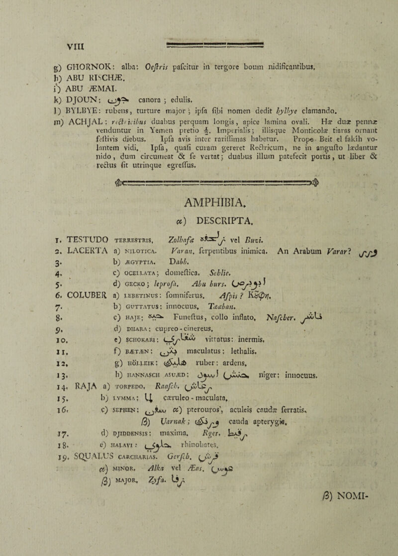 g) GHORNOK: alba: Oejlris pafcitur in tergore boum nidificantibus, b) ABU RISCHiE. i) ABU 7EMAI. k) DJOUN; canora ; edulis. l) BYLBYE: rubens, turture major ; ipfa {ibi nomen dedit bylbye clamando. in) ACHJAL ; rtctr iribus duabus perquam longis, apice lamina ovali. Ha? duae pennae venduntur in Yemen pretio ■§. Imperialis; illisque Monticolae tiaras ornant feltivis diebus, Ipfa avis inter rariffimas habetur. Prope Beit el faldh vo¬ lantem vidi, Ipfa, quali curam gereret Rectricum, ne in angufto laedantur nido , dum circumeat <5t fe vertat; duabus illum patefecit portis, ut liber & rectus fit utrinque egreffus. TESTUDO TERRESTRIS, LACERTA a) nilqtica. b) jEGYFTIA. c) ocellata; AMPHIBIA* #) DESCRIPTA, Zolbafa s*=\/ vel Buzi. Varan, ferpentibus inimica. An Arabum Vararl ry D abb, domeftica. Seblie, d) gecko ; leproja, Abu burs. 6. COLUBER a) lebetinus : fomniferus. dfpis ? KS<prj. 7. b) guttatus: innocuus, Taabnn, g, c) haje; Funeftus, collo inflato, Nafcber, o, d) dhara; cupreo, cinereus, 10. c) SCHOKARi: vittatus: inermis, 11, f) b^t.^n: maculatus; lethalis. 12» g) hoeeexk; ruber: ardens, 13, b) hannasch asua-d; Aoaju! C/ida, niger; innocuus. 14, RAJA a) torpedo, Raafcb, 15, b) lvmma; CJ, caeruleo - maculata, 16, c) sefuen; ct) pterouros’, aculeis caudae ferratis, /3) TJarnaki cauda apterygia, 17, d) djiddensis: tnaxima. Rger, I 8* e) haj-avi : s^. rbinobates. jcj, SQUALUS carcharjas. Gevfch. v'V* Di) minor, Alka vel Mas. /3) MAJOR, /3) NOMI-