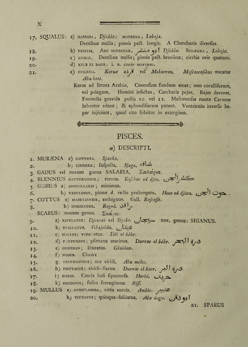 I. co ly, SQUALUS: a) massasa, Djidda; mafreka, Lob>j.e. Dentibus nullis; pinnis pe£L longis. A Charcharia diverfus. b) pristis. Aeu minschar, ^ I Djiddtf. Sciijekra , Lobajet. c) kumal. Dentibus nullis; pinnis pecb brevibus; cirrhis oris quatuor. d) kelbelbahr: i. e. canis'marinus* e) zygjena. Korna vel Mokarran. Mofcatenfibus vocatur Abu kott. Rarus ad littora Arabia?. Coenofum fundum amat; non coralliferurn, vel pelagum. Homini infertus, Carcharia pejor. Rajas devorat. Foemella gravida pullis io. vel 12. Mafcatenfes nauta? Carnem lubenter edunt; & aphrodifiacam putant. Ventriculo inverfo he¬ par injiciunt, quod cito folvitur in axungiam. 38. J 9‘ 20. 21. $c: 1. 2. 3- 4- 5- 6. 9* 10. 2 r* 22. 33' 34. 35. 26. 27. 38* 39. 20* PISCES* u) DESCRIPTI. MURiENA a) guttata. Sjitaka. b; cinerea; fufpecla. Sjtega. GADUS vel novum genus SALARIA. 'Zu\ci°icc. BLENNIUS gattorugine; torvus. Kofdar ed djiu. GOBIUS a) anguillaris ; minimus. b) nebulosus, pinna? d. radio prolongato. Hout ed djinn. <^=FJ O^. COTTUS a) Massiliensis» ambiguus. Gall. RnfcaJJe. b) insidiator. Rognd. SCARUS: novum genus. Excisos- a) rivulatus: Djcznvi vel Sigidu. ejCsrtw nov. genus: SIGANUS. b) STELLATUS. Gbxjtbdll. c) gallus; venenatus. Dik tl bahr. d) purpureus; pfittacus marinus. Durrat elbcibr. V<> e) giiobban ; lituratus. Gbobbati. f) niger. Cbadri. g) ferrugineus; ore viridi. Abu meles. h) psittacus; viridi - flavus. Durrat elbarr. i) hauid. Cauda bafi fquamofa. Harid. k) sordidus; fufco ferrugineus Rijf. MULLUS a; auriflamma, vittis aureis. Ambtr. bj vittatus; quinque-fafciatus* Abu dagn. 21. SPARUS “J