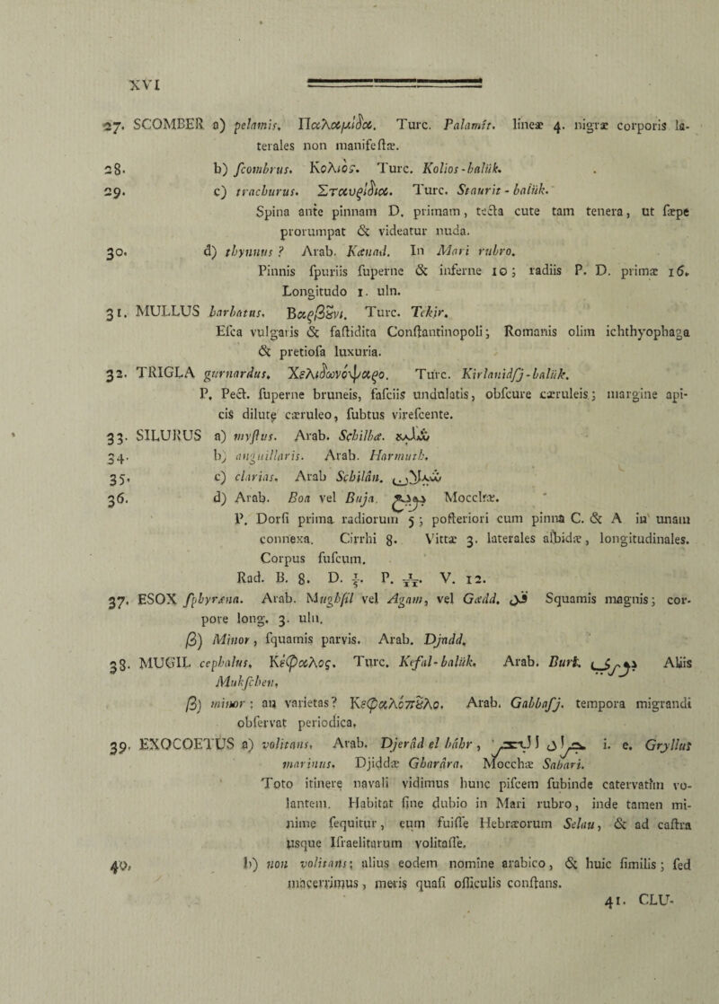 27* SCOMBER o) pelatnis. UaXoc/xl^oc. Ture. Palamtt. lineae 4. nigra: corporis la¬ terales non manifelhe. 28* b) fcombrus. KoA;os>. Ture. Kolios-baiiik. 29. c) trachurus. 'Lrocv^ioi. Ture. Staurit - baiiik. Spina ante pinnam D. primam, tecta cute tam tenera, ut faepe prorumpat & videatur nuda. 30. d) thynnus ? Arab. Kauad. In Mori rubro. Pinnis fpuriis fuperne & inferne 10; radiis P. D. primae 16» Longitudo 1. uln. 31. MULLUS harbotns. BTure. Tckir. Elea vulgaris & faftidita Conftantinopoli; Romanis olim ichthyophaga & pretiofa luxuria. 32. TRIGLA gurnardus. XghloooVQ^Oiqo. Ture. Kirlanidfj-baiiik. P, Pect. fuperne bruneis, fafeiis undulatis, obfcure caeruleis,; margine api¬ cis dilut£ caeruleo, fubtus virefeente. 33. SILURUS a) myfius. Arab. Schilba. 34. b) anguilUuis. Arab. Harmuth, 35. c) chrias, Arab Schildn. 36. d) Arab. Boo vel Buja. ^^4 Moecha:. P. Dorii prima radiorum 5 ; pofteriori cum pinna C. & A iu unam connexa. Cirrhi 8. V7ittae 3. laterales albidie, longitudinales. Corpus fufeurn. Rad. B. 8. D- f* P. *V V. 12. 37. ESOX fphyrsna. Arab. Mughfil vel Agam, vel Gouid, JJ Squamis magnis; cor¬ pore long. 3. uln. /3) Minor, fquarnis parvis. Arab. Djndd. 38. MUGIL cephalus, Ture. Kefal-baiiik, Arab. Buri. Aliis Mukfcben,  (3) minor : au varietas? Ks(pctXc7T8Ao. Arab. Gabbnfj. tempora migrandi pbfervat periodica, 39. EXOCQETUS a) volitans, Arab. Djerdd el bdhr , J i* e, Gryllus marinus. Djiddse Ghardra, Moechae Sabari. Toto itinere navali vidimus hunc pifcem fubinde catervatftn vo¬ lantem. Habitat fine dubio in Mari rubro, inde tamen mi¬ nime fequitur, eum fuifle Hebraeorum Selau, & ad caltra Usque Ifraelitarum volitalfe. b) non volitans; alius eodem nomine arabico, & huic limilis ; fed macerrimus, meris quaft ollicuiis conltans. 41. CLU-