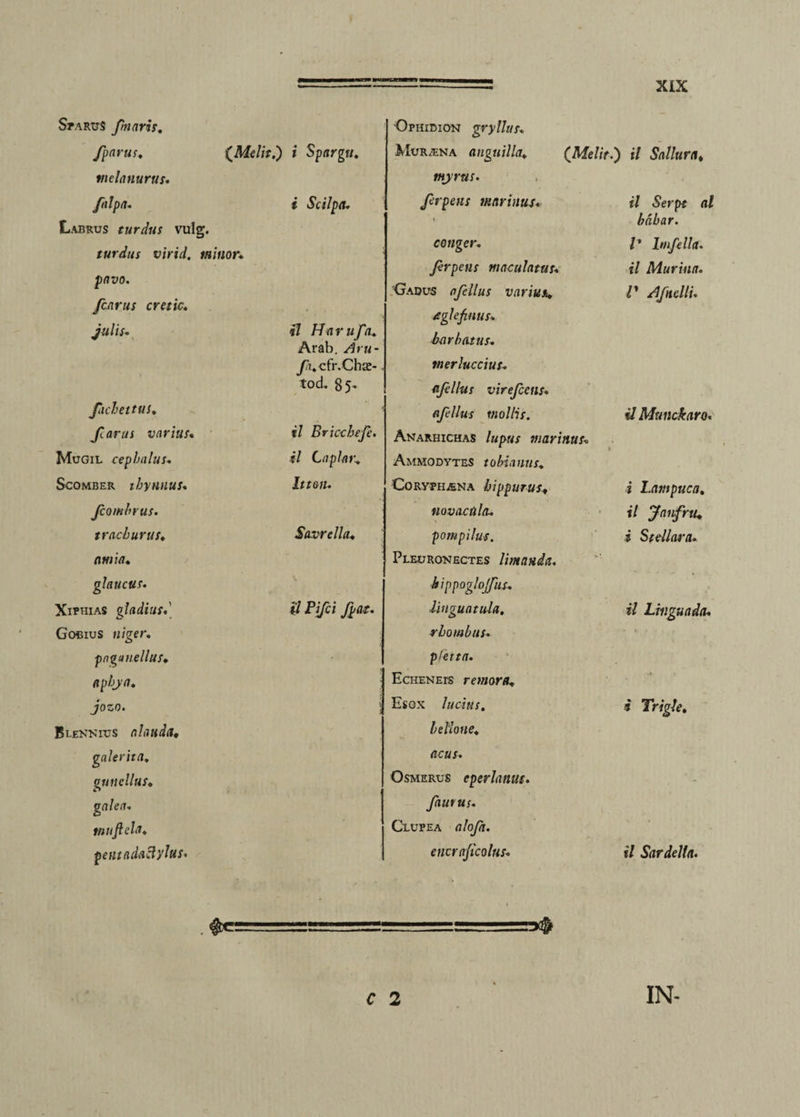 Sparus fnaris, fparus. melanurus. fnlpa. Labrus turdus vulg. turdus virid. minor. fflZIO. fcarus cretic. julis. Jhchettus. Jcarus varius* Mugil cepbalus. Scomber thynnus. Jcombrus. trachurus» amia. glaucus. Xiphias gladius Gobius ipngunellus. aphya. jozo. BtENKics alauda, galerita, gunellus. galea, tn ufi eia. pentadaclylus. i Spargu, i Scilpa. il Harufa. Arab. /4» m- y7i.cfr.Chae- tod, 85' t/ Bricchefe. il Capiat:. It t on. Savrella. il Pifci fpat. ■Ophidion gryllus. Murlna anguilla. myrus. ferpens marinus. (Melitl) il Sallura* conger. Jerpens maculatus. Gadus afellus varius, eglefinus. barbatus, tnerluccius. afellus virefccns. afellus mollis. Anarhichas /«p«j marinus* Ammodytes tobianus. Corypiijena hippurus, novacula* pompilus. Pleuronectes limanda, hippoglojfus. linguatula, rhombus. pfetta. Echeneis remora. Esox lucius, bellone. acus. Osmerus eperlanus. faurus. Clupea alofa. encraficolus. il Serpt al bdhar. I’ Imfella. il Murina. V /Ifnelli. UMunckaro. i Lampuca, il Janfru* i Stellara. il Linguada. i Trigle, *7 Sardelta. C 2 IN-