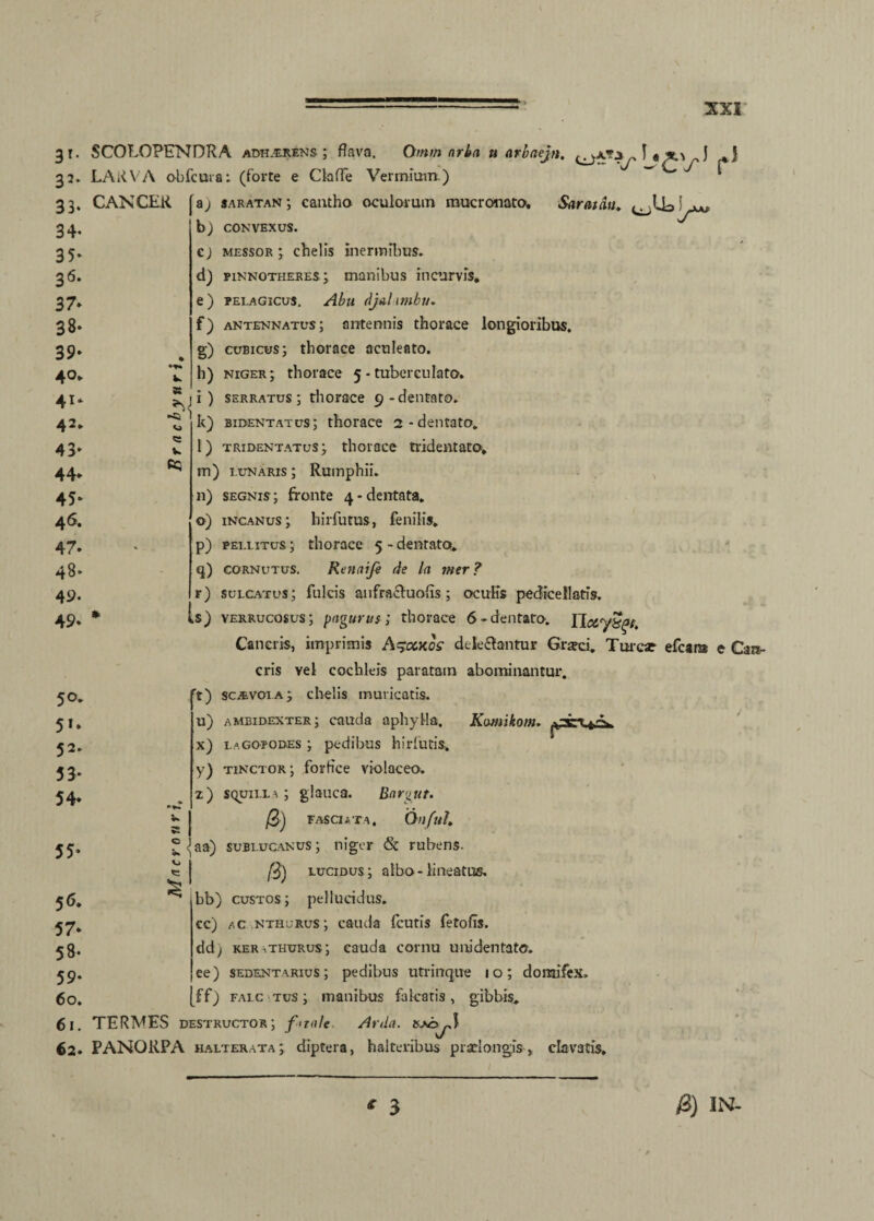 33* CANCER • '■f' CO 35* 36. 37* 38* 39* • 40. *♦* 4* 41. St 42. 43* W 44* cq 45* 46. 47. - 48* 49- 49* » 50. 5»* 52* 53* 54» * •*«* 55* c w Vi 56. 57* 58. 59* 60. Omm nrin n arbaejn. ^ * J - imium.) ” 1 3r. SCOLOPENDRA adherens; flava. 33. LARVA obfcura: (forte e Cia fle Ver a; saratan; cantho oculorum mucronato. Saratan. ; b) CONVEXUS. e) messor ; chelis inermibus. d) pinnotheres ; manibus incurvis. e) pelagicus. Abu djahmhu. f) antennatus; antennis thorace longioribus. g) cubicus; thorace aculeato. h) niger; thorace 5 - tuber culato. k) bidentatus; thorace 2-dentato. l) tridentatus; thorace tridentato, m) lunaris ; Rumphii. 11) segnis; fronte 4-dentata. o) incanus; hirfutus, fenilis. p) pellitus ; thorace 5 - dentato. q) cornutus. Renaife de la mer? r) sulcatus; fulcis anfractuolis ; oculis pedicellatis. .s) verrucosus; pagurus; thorace 6-dentato-. llceySgt, Cancris, imprimis A^ockos delectantur Graeci. Tmese efcara e Can¬ cris yel cochleis paratam abominantur. 't) scavoia ; chelis muricatis, u) ambidexter; cauda aphylla. Kamikom. x) laGopodes ; pedibus hirlutis. y) tinctor; forflee violaceo. z) squilla; glauca. Bargut. /3) fasciata. Onfuh /3) lucidus; albo-lineatus, bb) custos ; pellucidus, cc) ac nthjrus; cauda fcutis fetofls. ddj ker.thurus; cauda cornu uni dentato, ee) sedentarius; pedibus utrinque 10; domifex, ff) falc tus ; inanibus falcatis, gibbis, 61. TERMES destructor; f>tale■ Arda. 62. PANQRPA halterata; diptera, halteribus praelongis, clavatis.