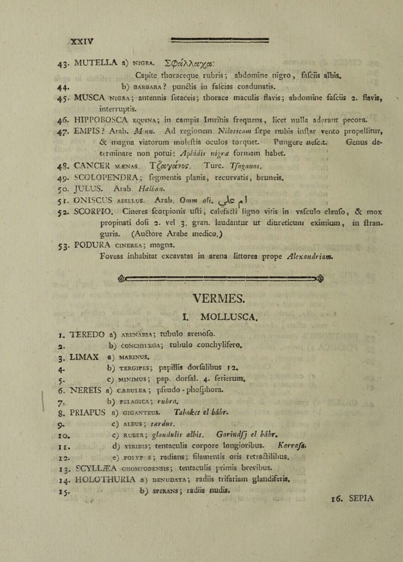 43- MUTELLA a) nigra. Zi£>a'AA#%«: Capite thoraceque rubris; abdomine nigro, fhfciis albis* 44» b) barbara? punctis in falcias coadunatis. 45. MUSCA nigra; antennis fetaceis; thorace maculis flavis; abdomine fafciis 2. flavis, interruptis. 46. HIPPOBOSCA equina; in campis Imrihis frequens, licet nuTla aderant pecora. 47. EMPIS? Arab. M nn. Ad regionem 'Niloticam fepe nubis inflar vento propellitur, & magna viatorum moleftia oculos torquet. Pungere neic.t. Genus de¬ terminare non potui: Aphidis nigra formam habet. 48. CANCER mjenas. TQxyocvos. Ture. Tfaganos. 49. SCQLOPENPRA; fegmentis planis, recurvatis, brunek» 50. JULUS. Arab. Halban, 51. ONISCUS asellus. Arab. Omm ali. 52- SCORPIO. Cineres fcorpionis ufli, calefacti ligno viris in vsfculo claufo, & mox propinati doli 2. vel 3. gran. laudantur ut diureticum eximium, in ftran- guria. (Auctore Arabe medico.) 53. PODURA cinerea; magna. Foveas inhabitat excavatas ha arena litto rea prope Alexandriani, VERMES. I. MOLLUSCA. I* TEREDO a) arenaria; tubulo arenofo. 2. b) conchiixga; tubulo conchyiifero. 3. LIMAX a) MARINUS. 4* b) tergipes; papillis dovfalibus 12. 5* c) minimus ; pap. dorfal. 4. ferierum* 6. NEREIS a) caerulea ; pfeudo - phofphora. 7. b) pelagica; rubra* 8* PRIAPUS a) Giganteus. Tabnkct el bAhr, 9* c) albus; tardus. IO* c) ruber; glandulis albis. Garindfj el ba.hr• 11, d) viridis; tentaculis corpore longioribus. Karrafa, 12* e) poivp s; radians; filamentis oris retractilibus. 13. SCYLLiEA ghomfobensis; tentaculis primis brevibus. 14. HOLO THURI A a) denudata; radiis trifariam glandiferis* 15* b) spirans; radiis nudis. .... ... 16, SEPIA